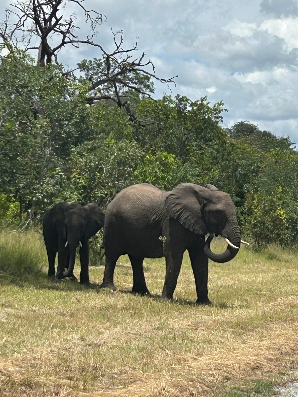 The Day We Said Goodbye to Namibia