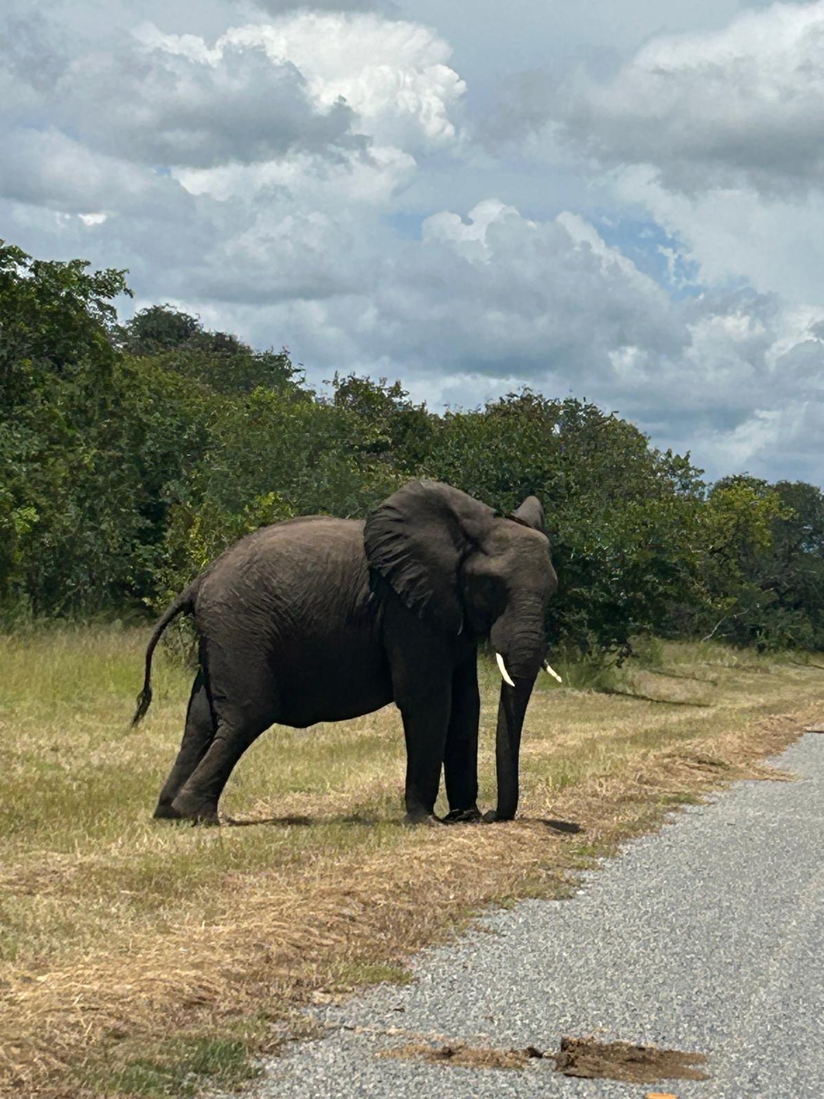 The Day We Said Goodbye to Namibia