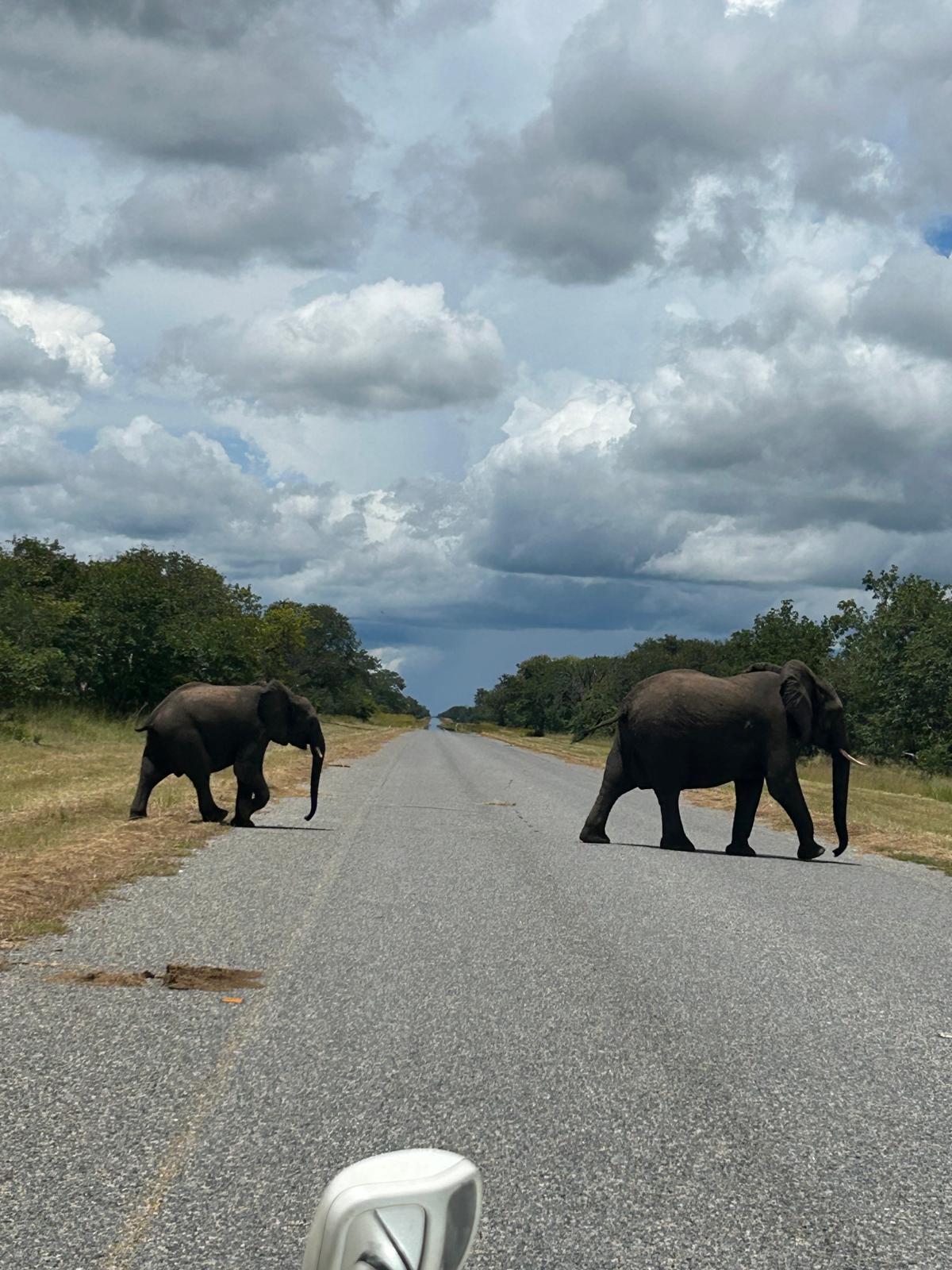 The Day We Said Goodbye to Namibia