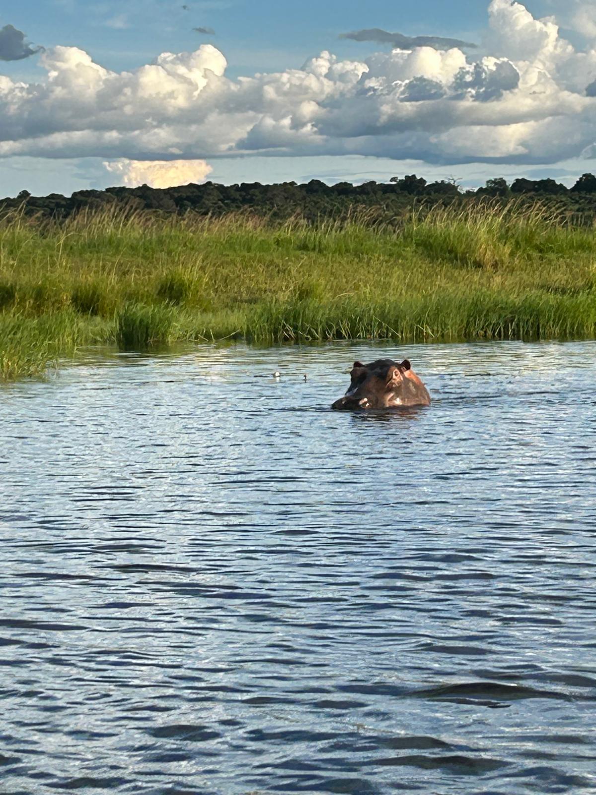 The Day We Said Goodbye to Namibia