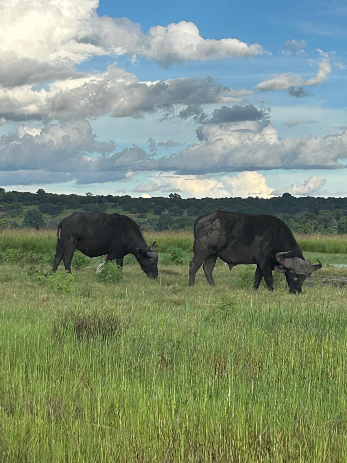 The Day We Said Goodbye to Namibia