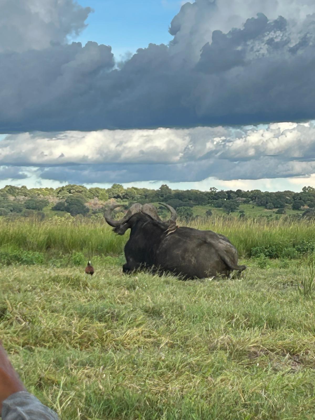 The Day We Said Goodbye to Namibia