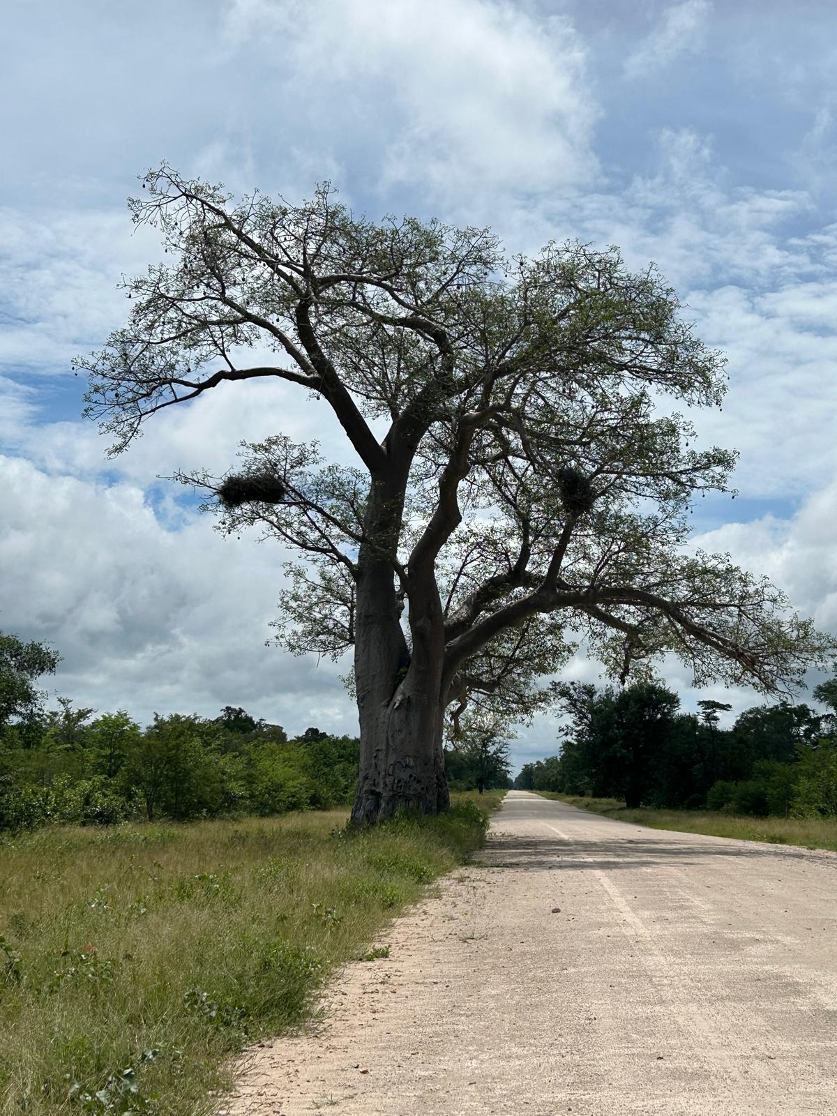 The Day We Said Goodbye to Namibia