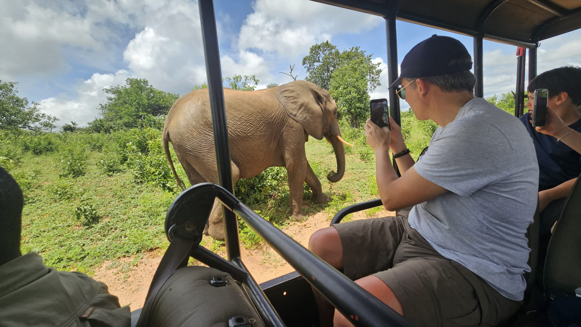 Back to Chobe