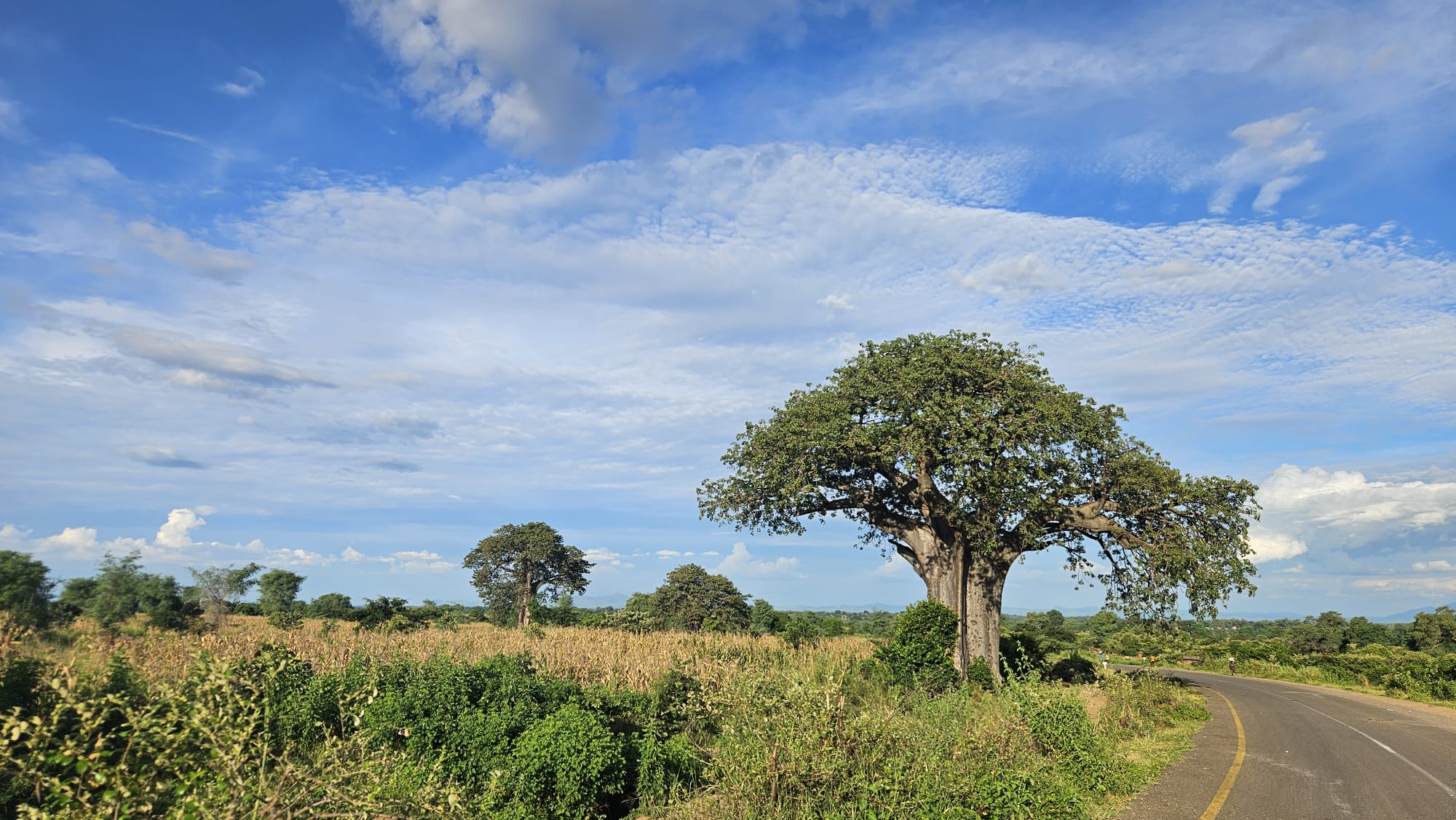 Katete → Cape Maclear — Mr. James, the Chambo, and Lake Malawi