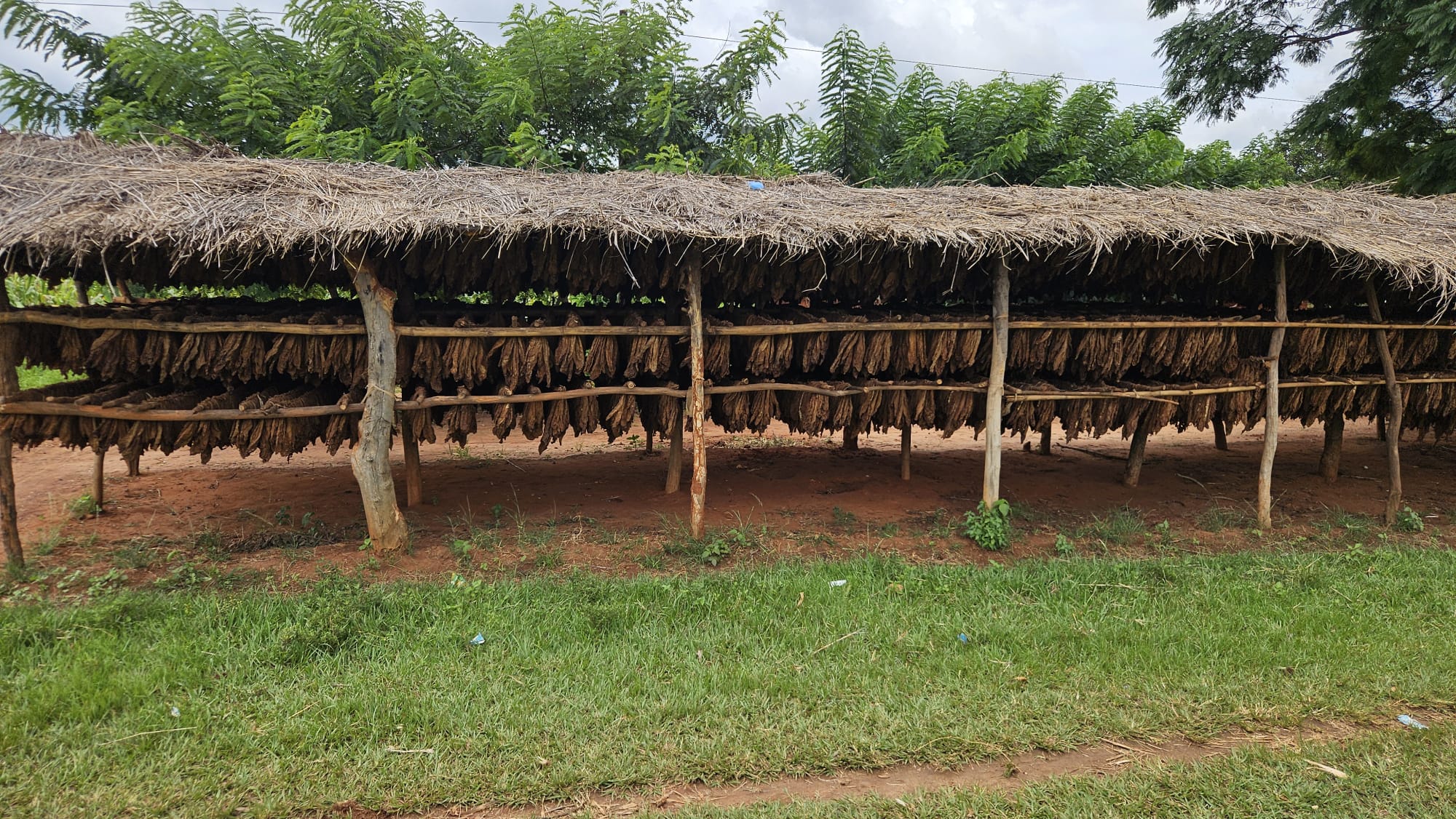 Katete → Cape Maclear — Mr. James, the Chambo, and Lake Malawi