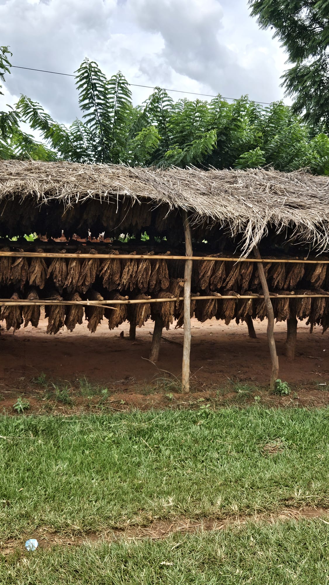 Katete → Cape Maclear — Mr. James, the Chambo, and Lake Malawi