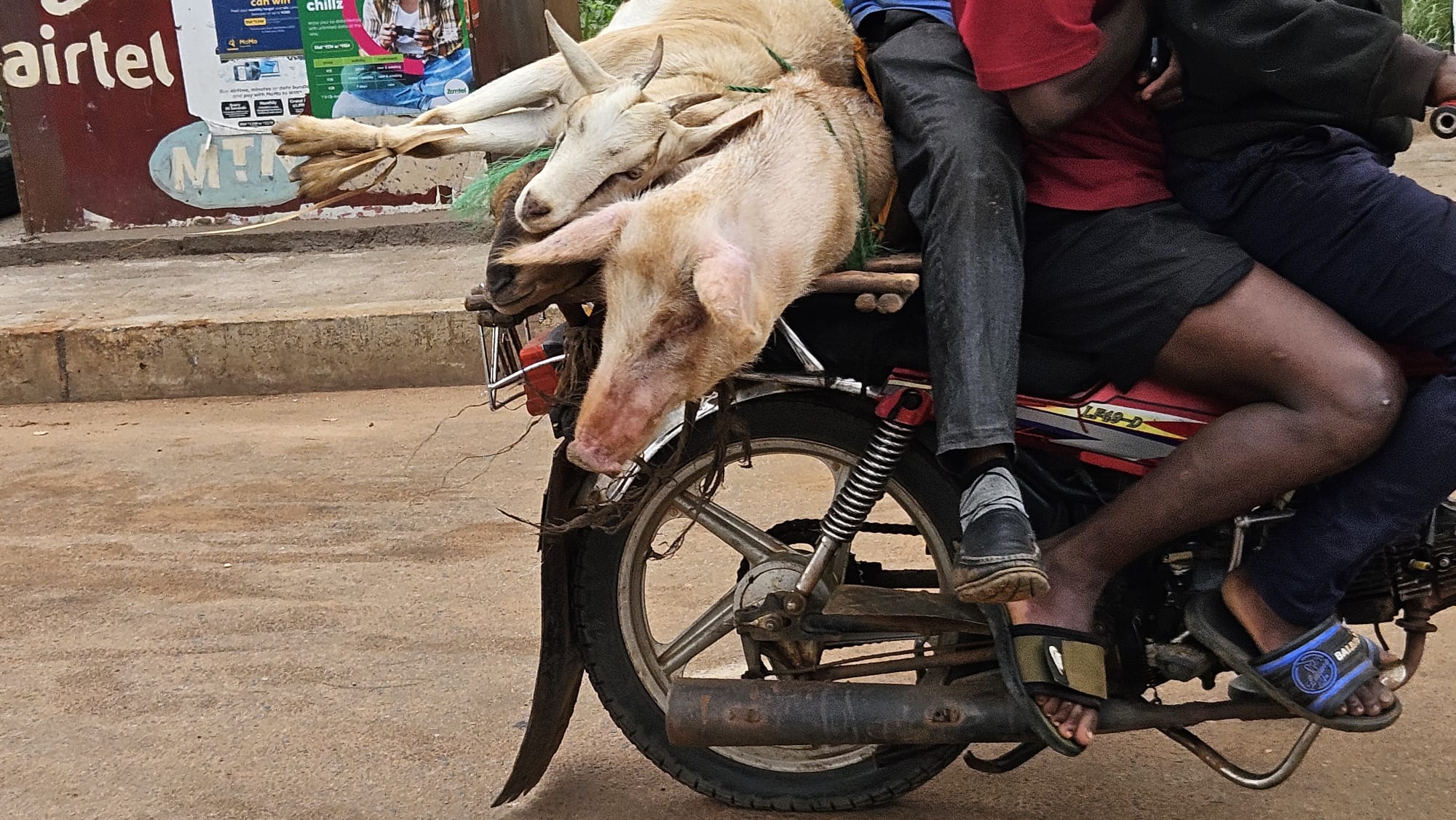 Katete → Cape Maclear — Mr. James, the Chambo, and Lake Malawi
