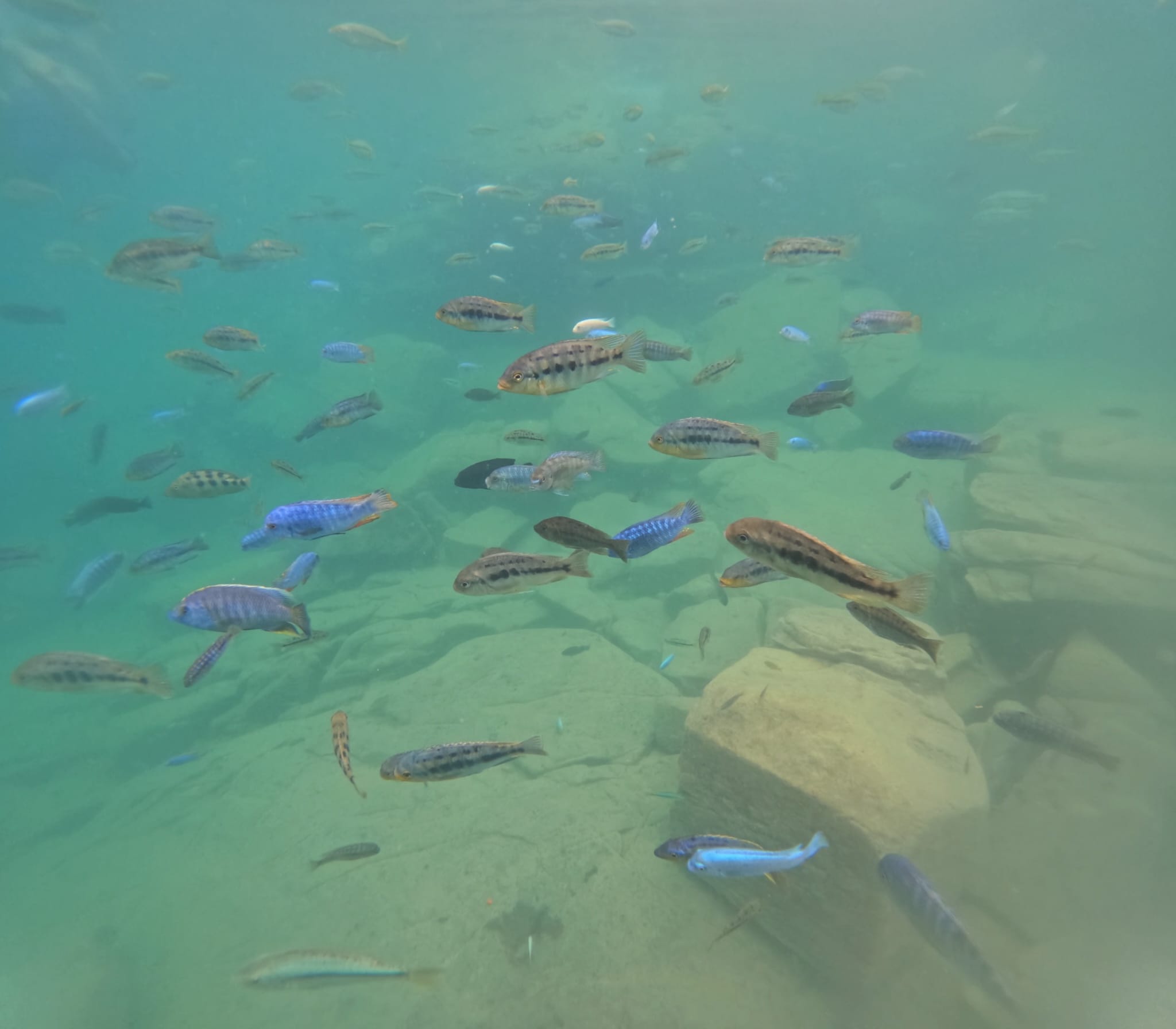 Cape Maclear — Kayaks, Crocodiles, and Sunsets