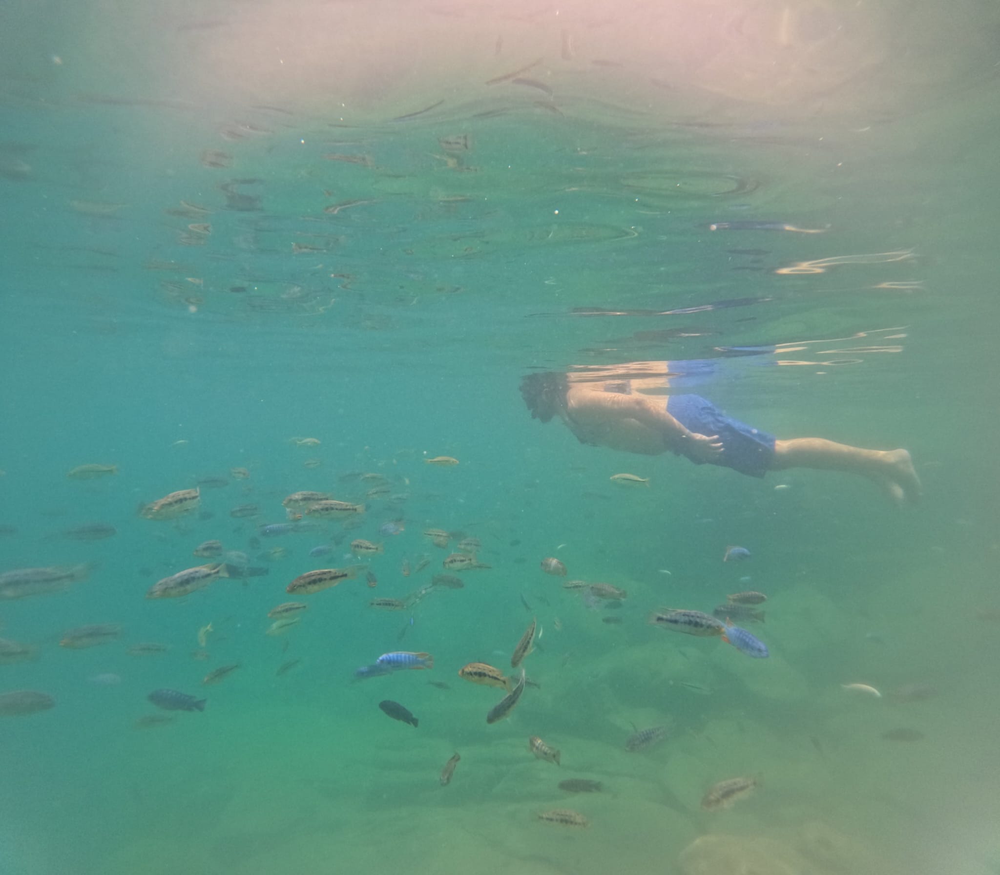 Cape Maclear — Kayaks, Crocodiles, and Sunsets