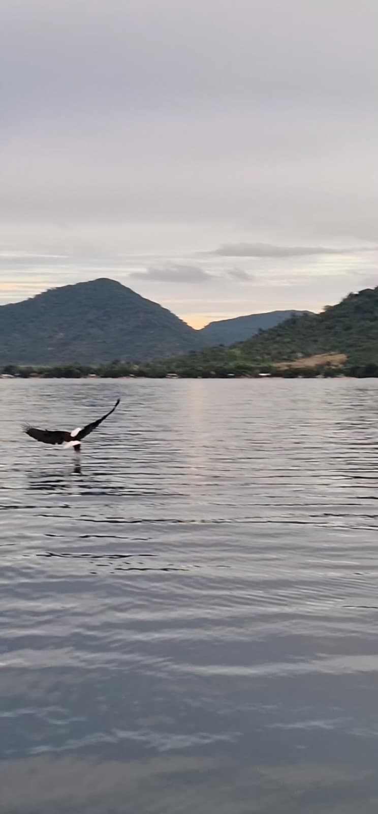 Cape Maclear — Kayaks, Crocodiles, and Sunsets
