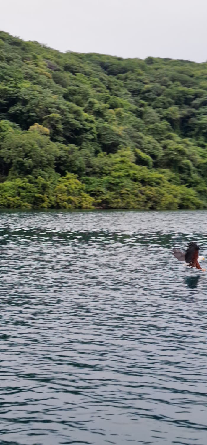 Cape Maclear — Kayaks, Crocodiles, and Sunsets