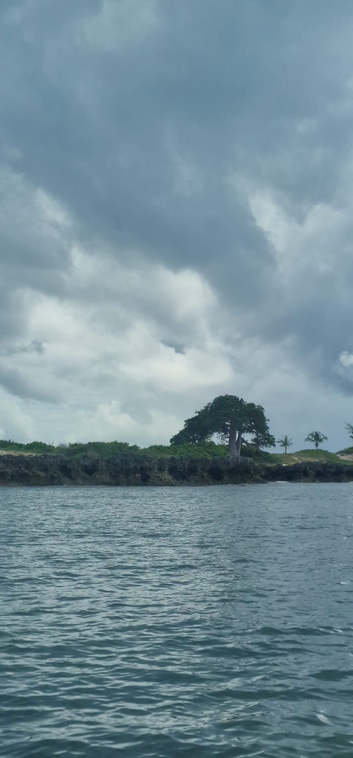 Ilha de Moçambique — Gabriela, Idalino, and Amisse's Fire