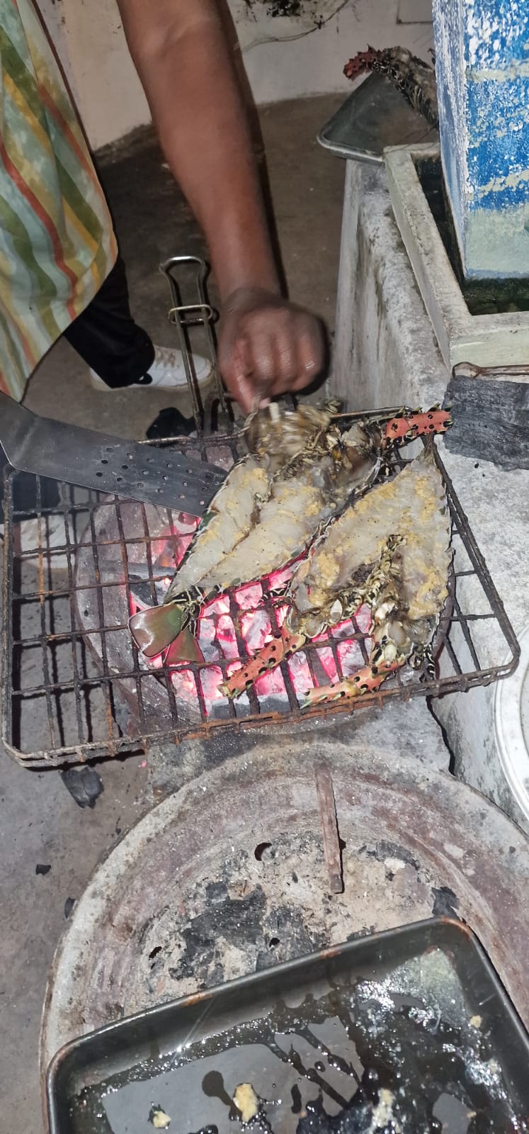 Ilha de Moçambique — Gabriela, Idalino, and Amisse's Fire