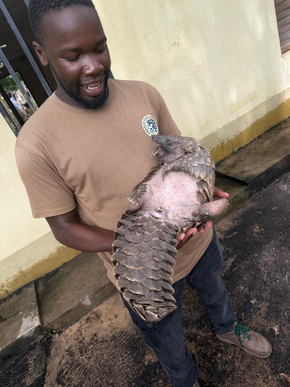 Gorongosa — Greg Carr, João the Paleontologist and the Pangolins