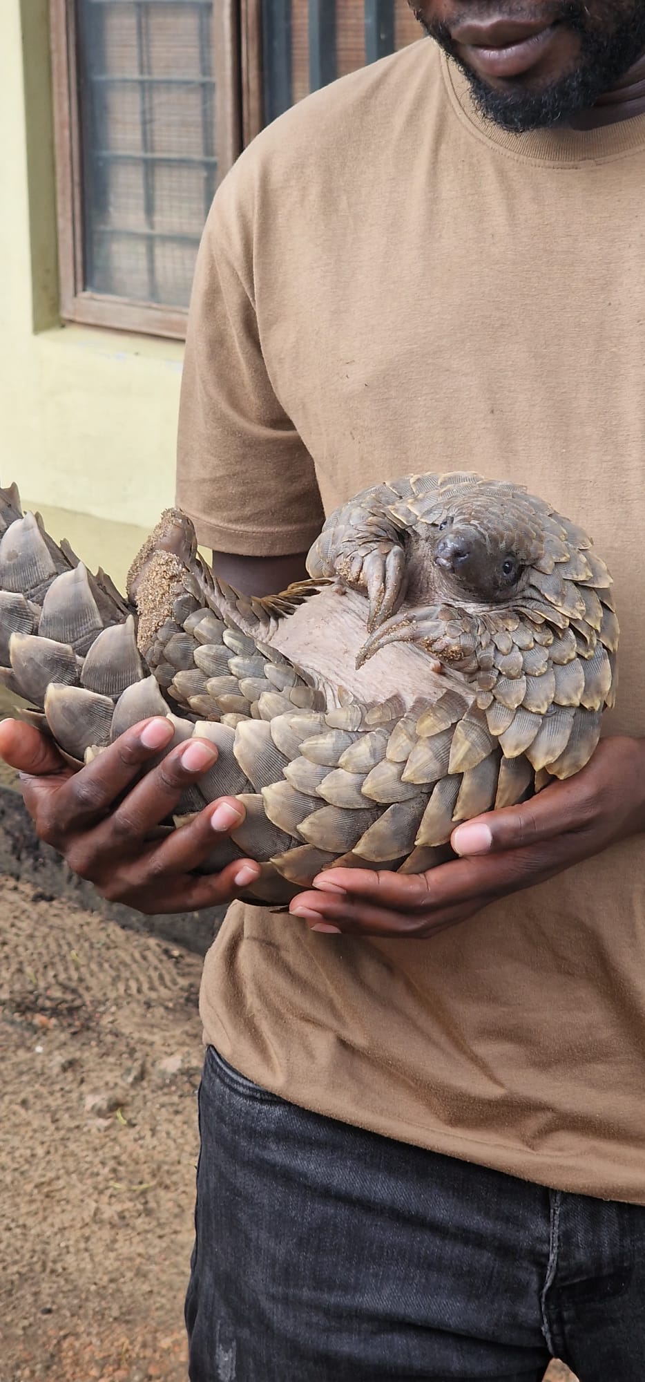 Gorongosa — Greg Carr, João the Paleontologist and the Pangolins