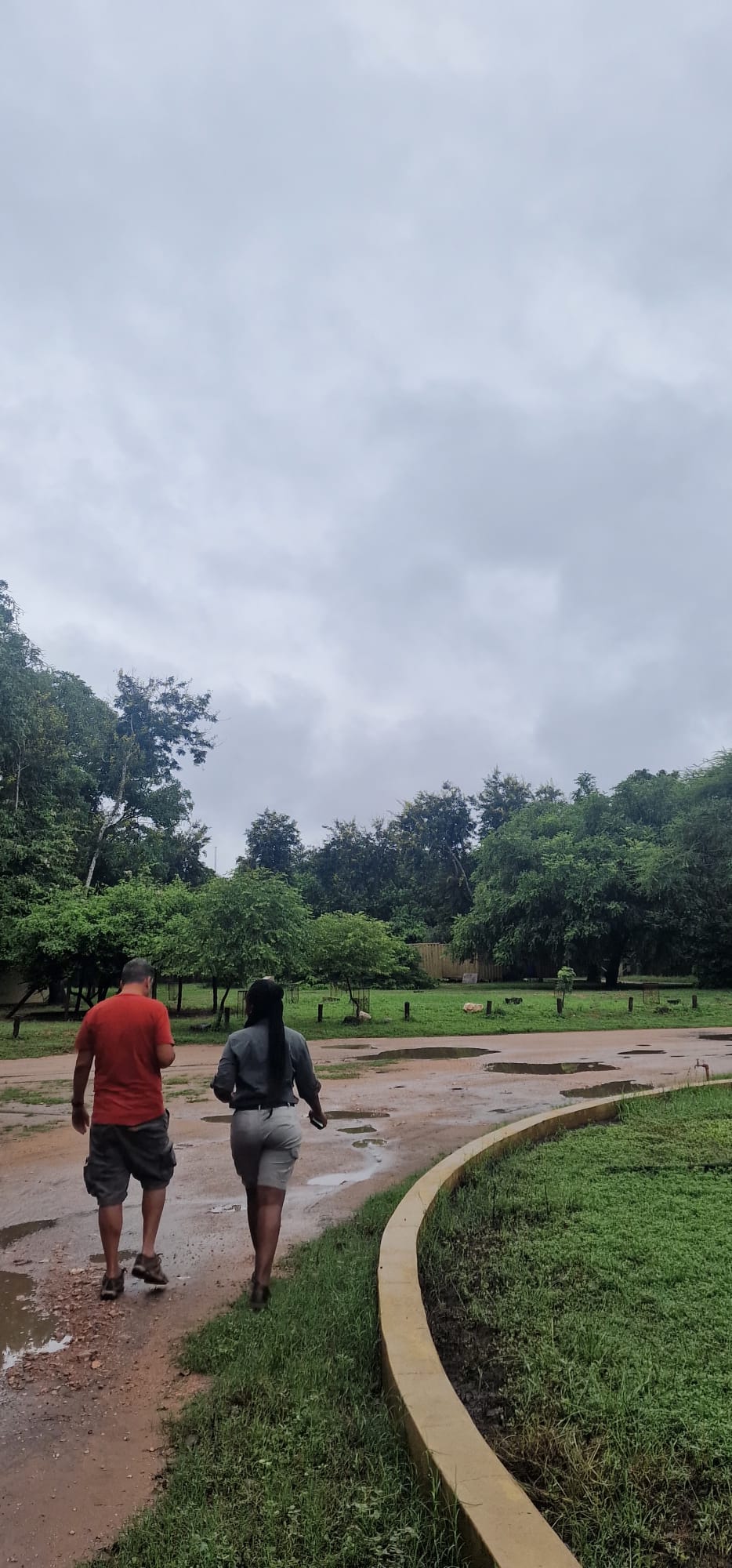 Gorongosa — Greg Carr, João the Paleontologist and the Pangolins