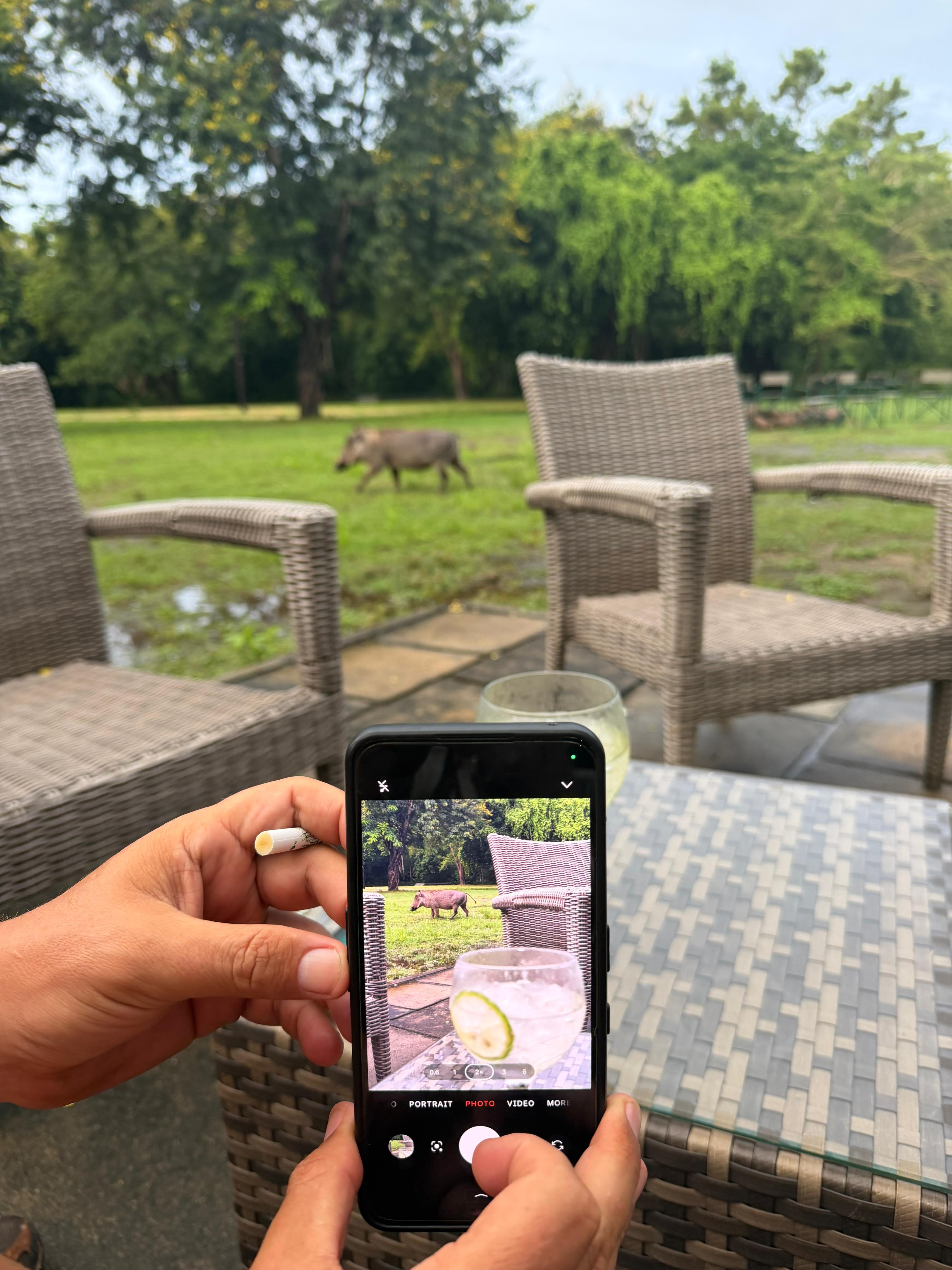 Gorongosa — Greg Carr, João the Paleontologist and the Pangolins