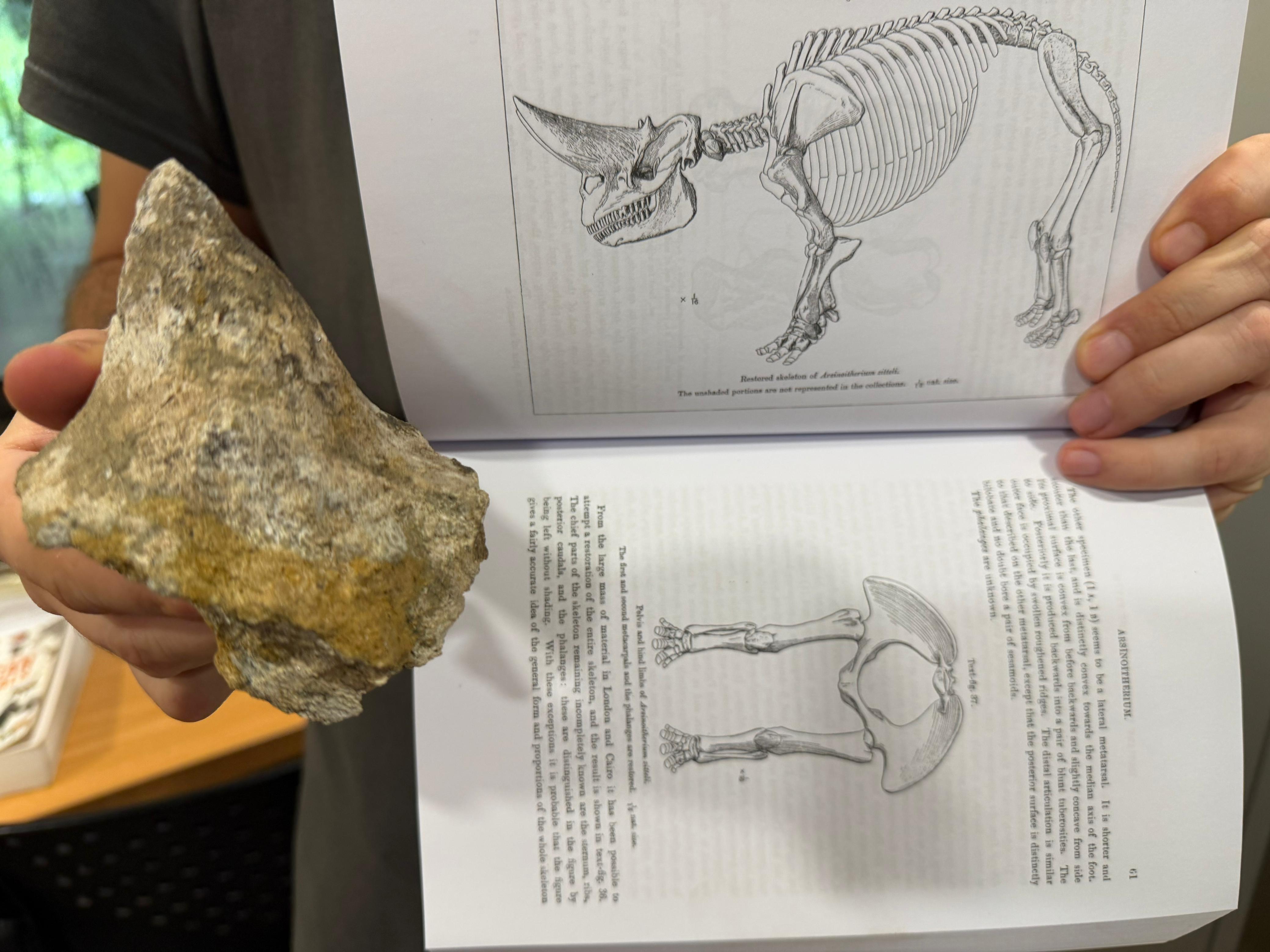 Gorongosa — Greg Carr, João the Paleontologist and the Pangolins