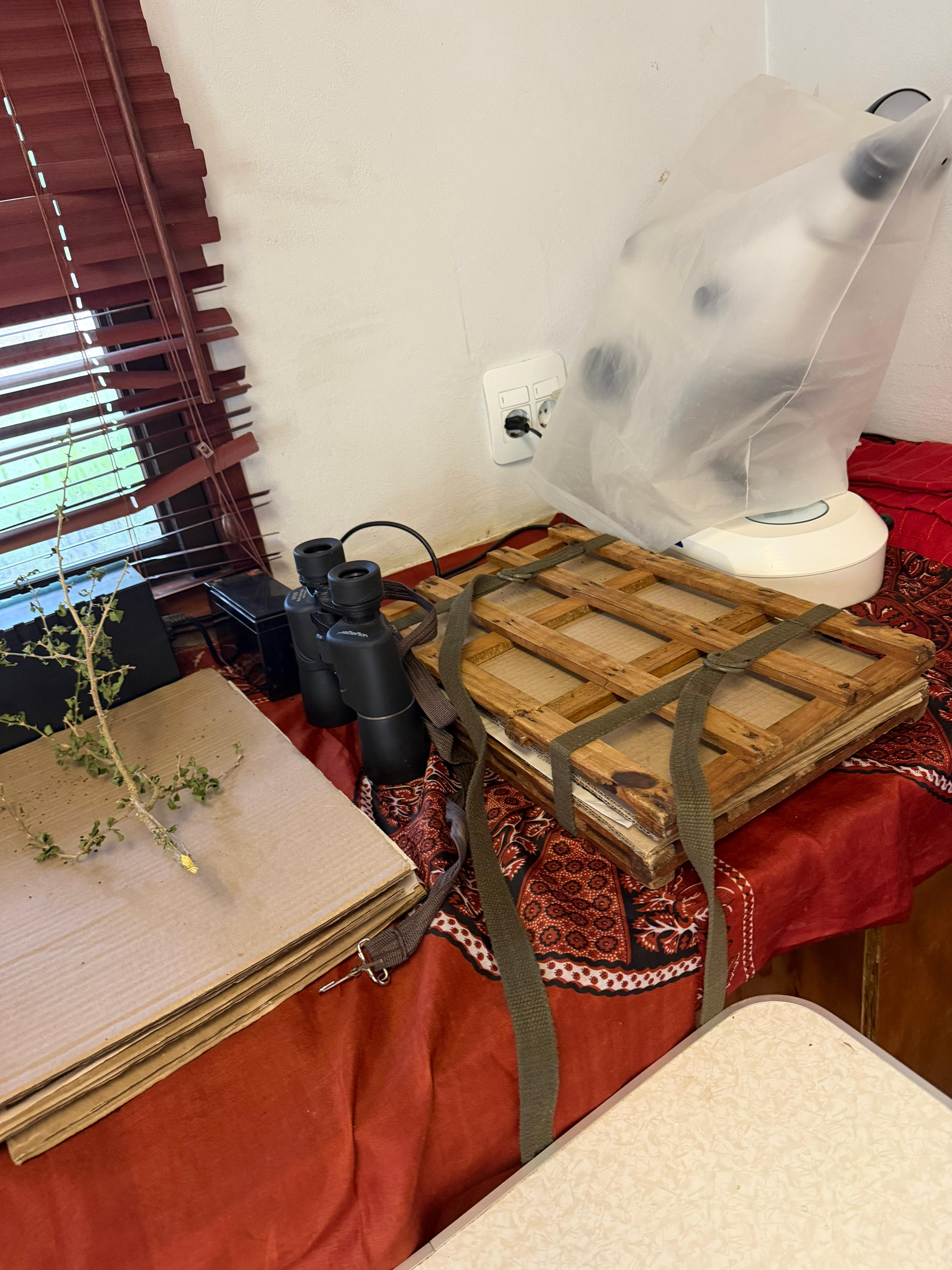 Gorongosa — Greg Carr, João the Paleontologist and the Pangolins
