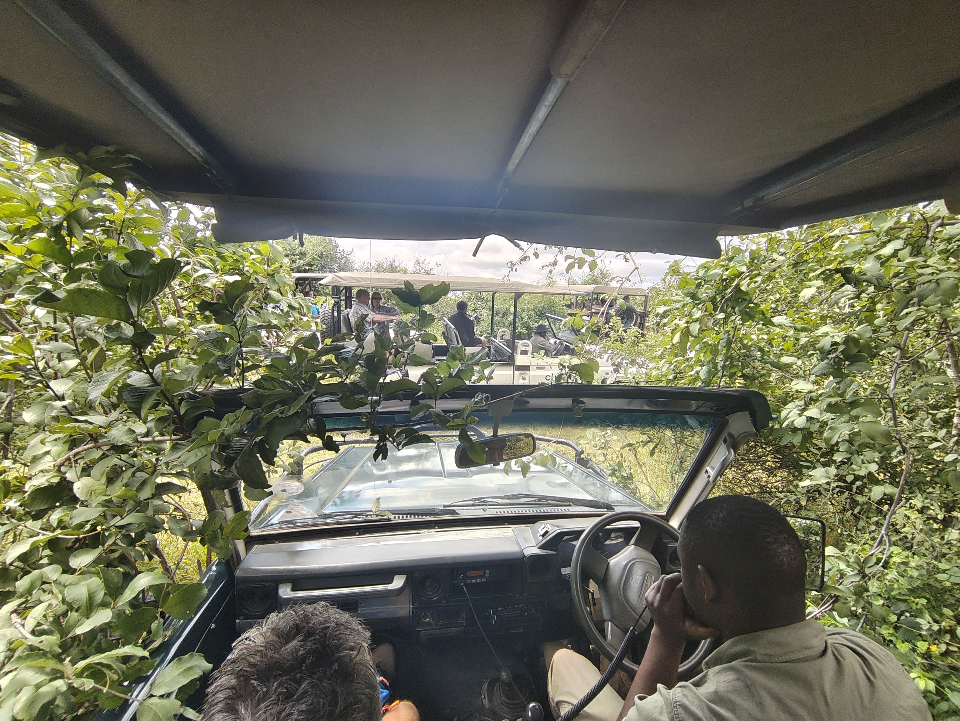 Back to Chobe