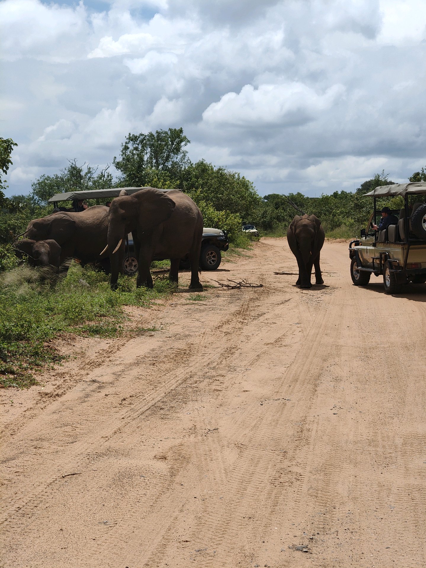 Back to Chobe
