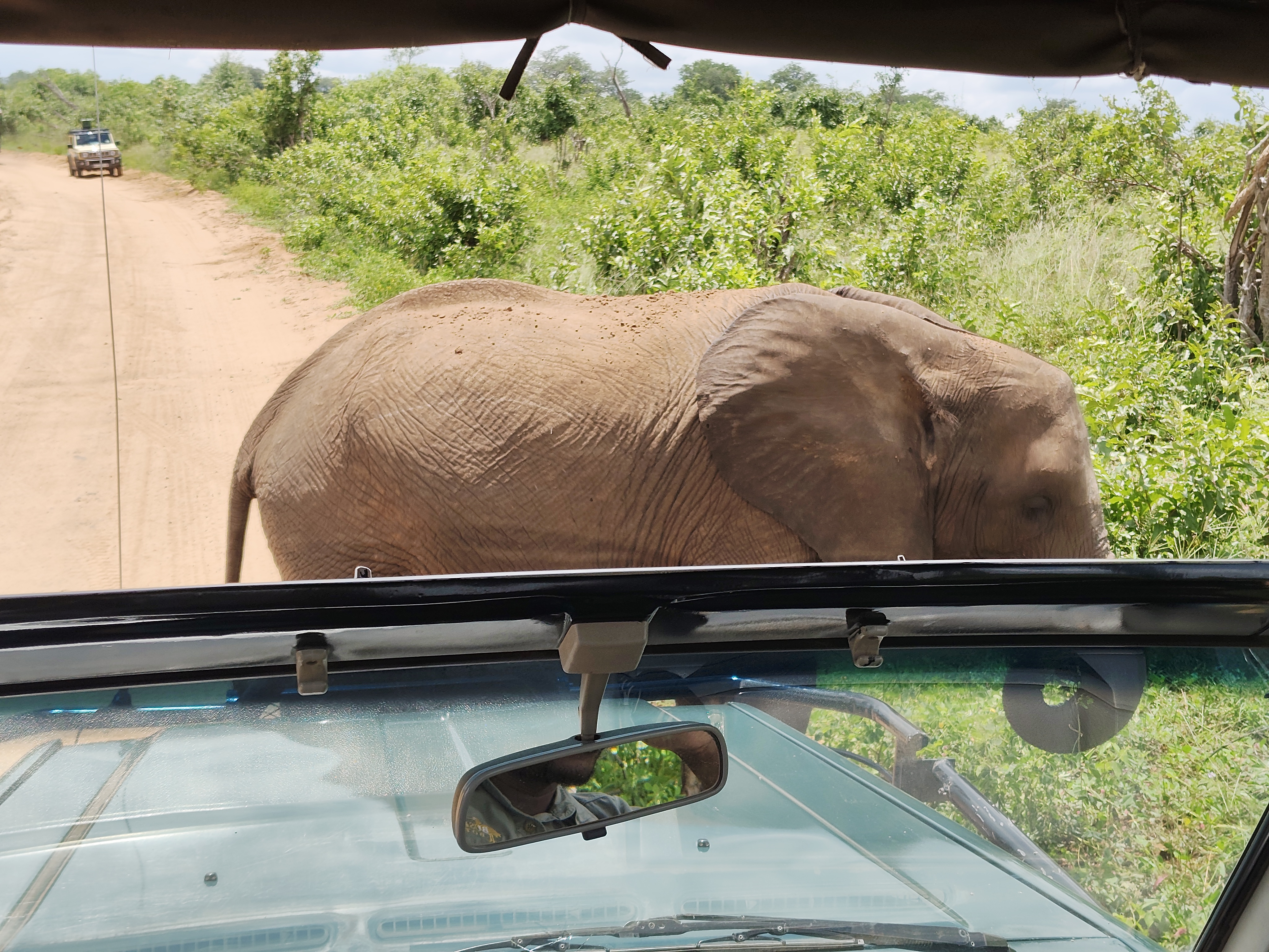 Back to Chobe