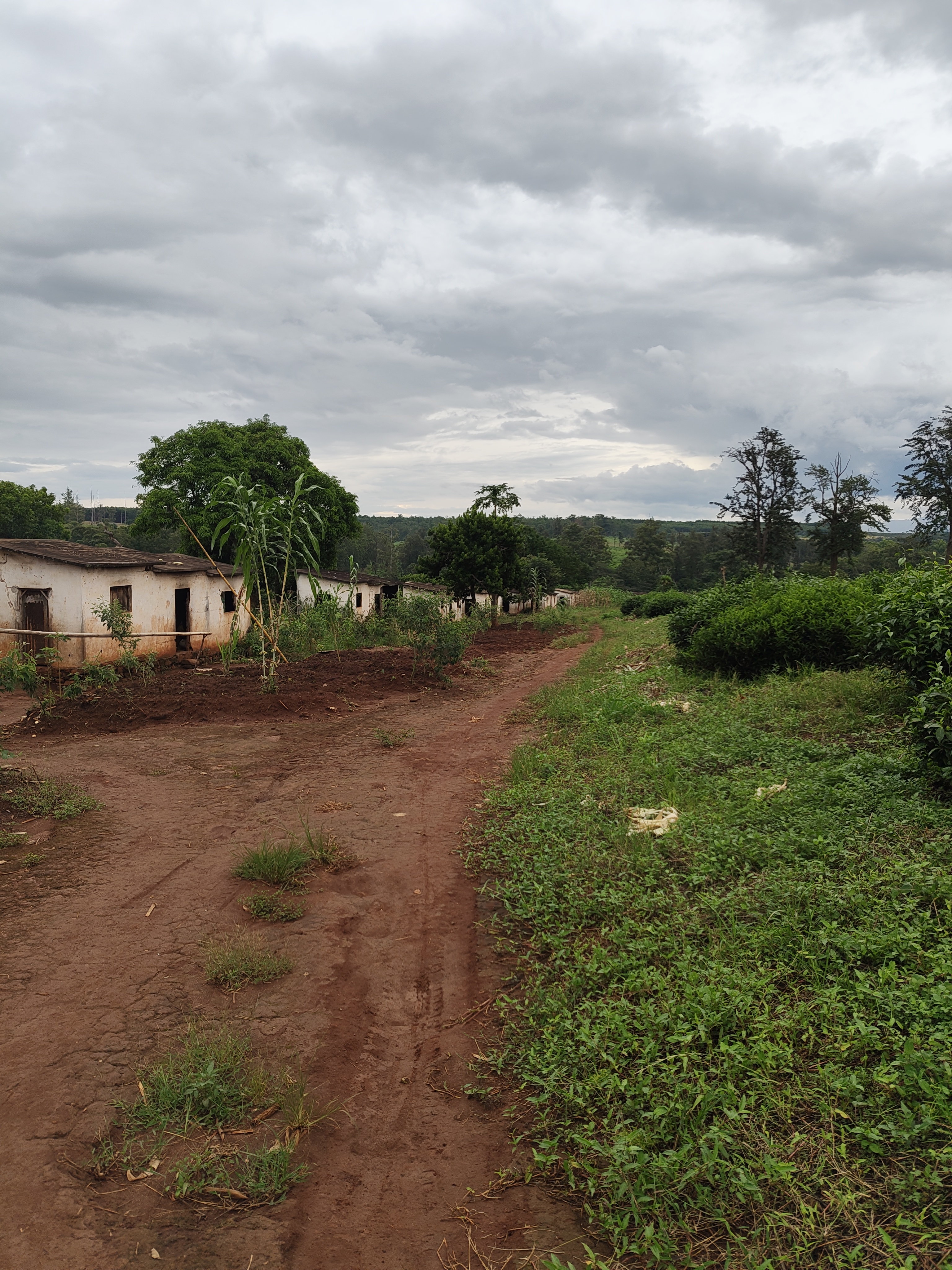 Nampula → Gurué — Evaristo, Carlota, and Castigo