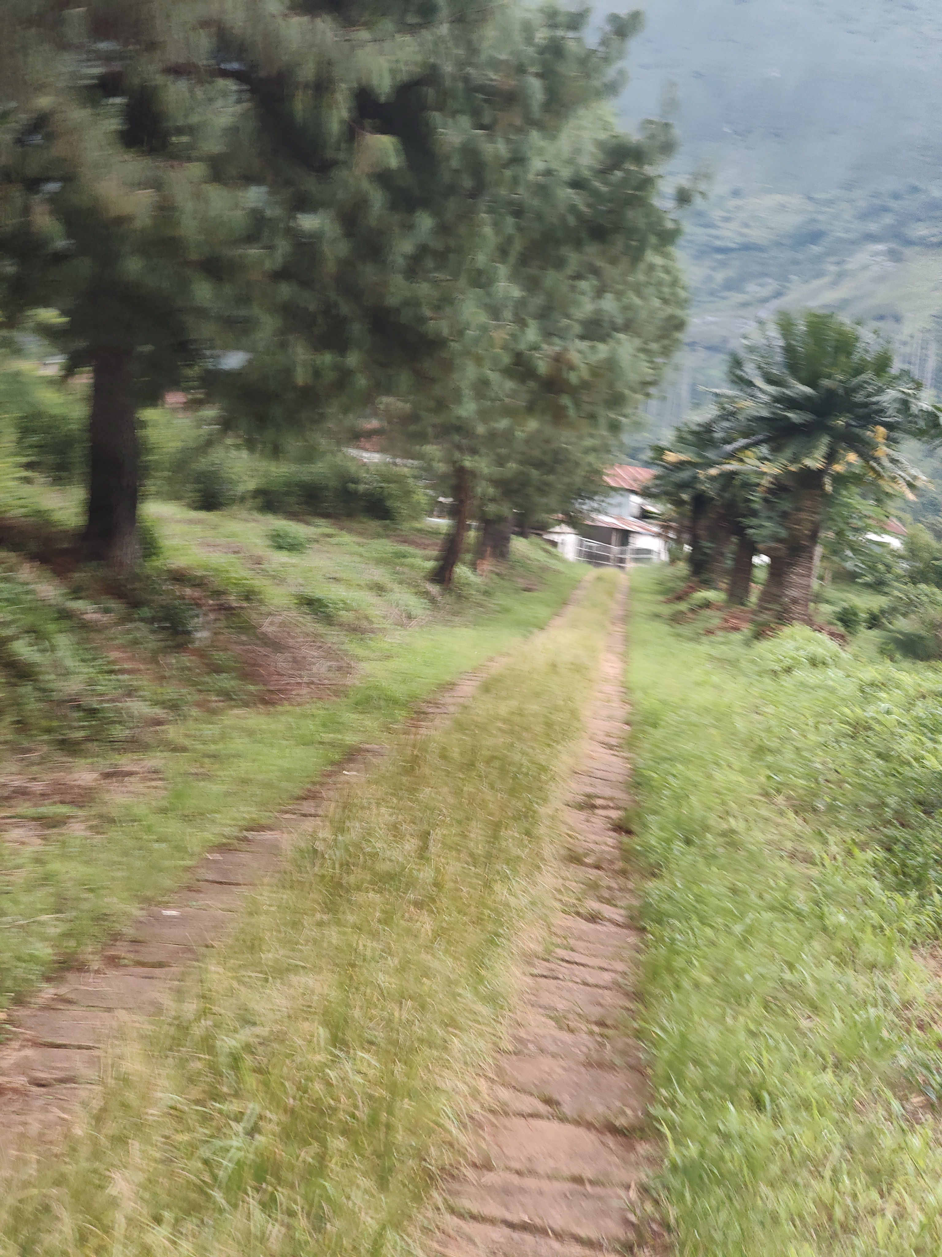 Nampula → Gurué — Evaristo, Carlota, and Castigo