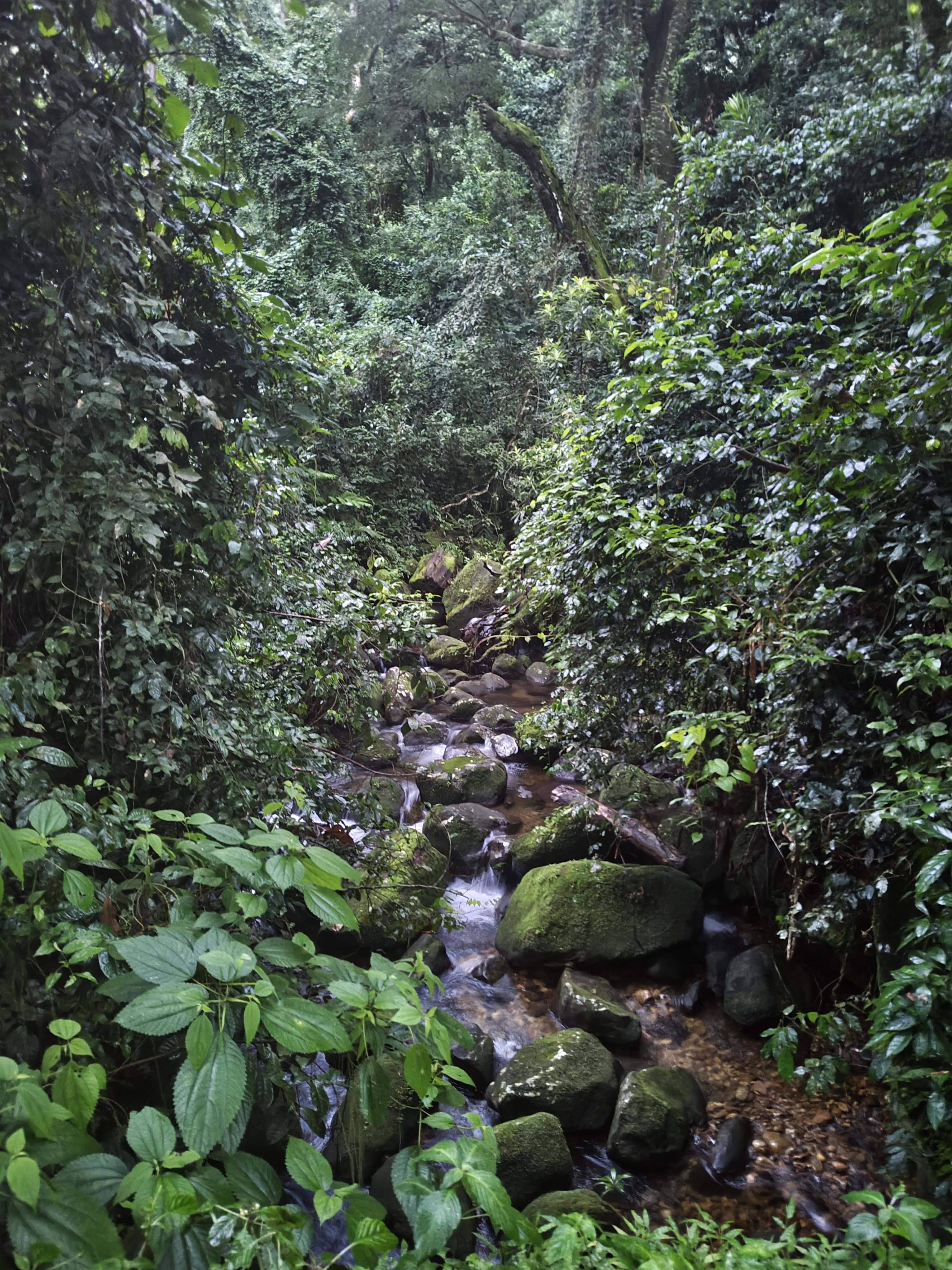 Nampula → Gurué — Evaristo, Carlota, and Castigo