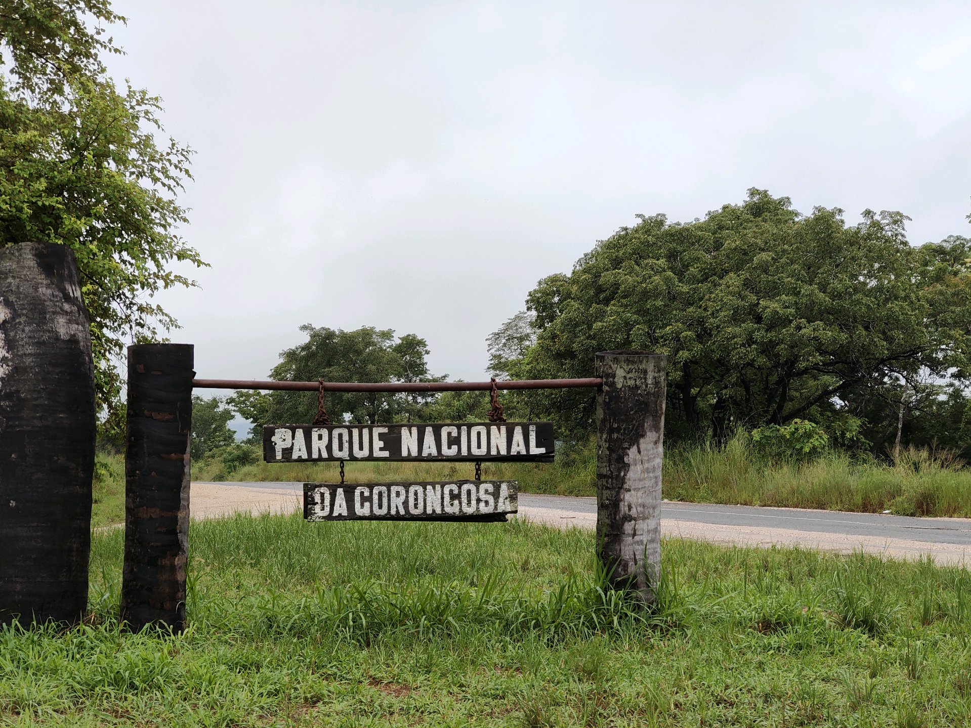 Gorongosa — Greg Carr, João the Paleontologist and the Pangolins
