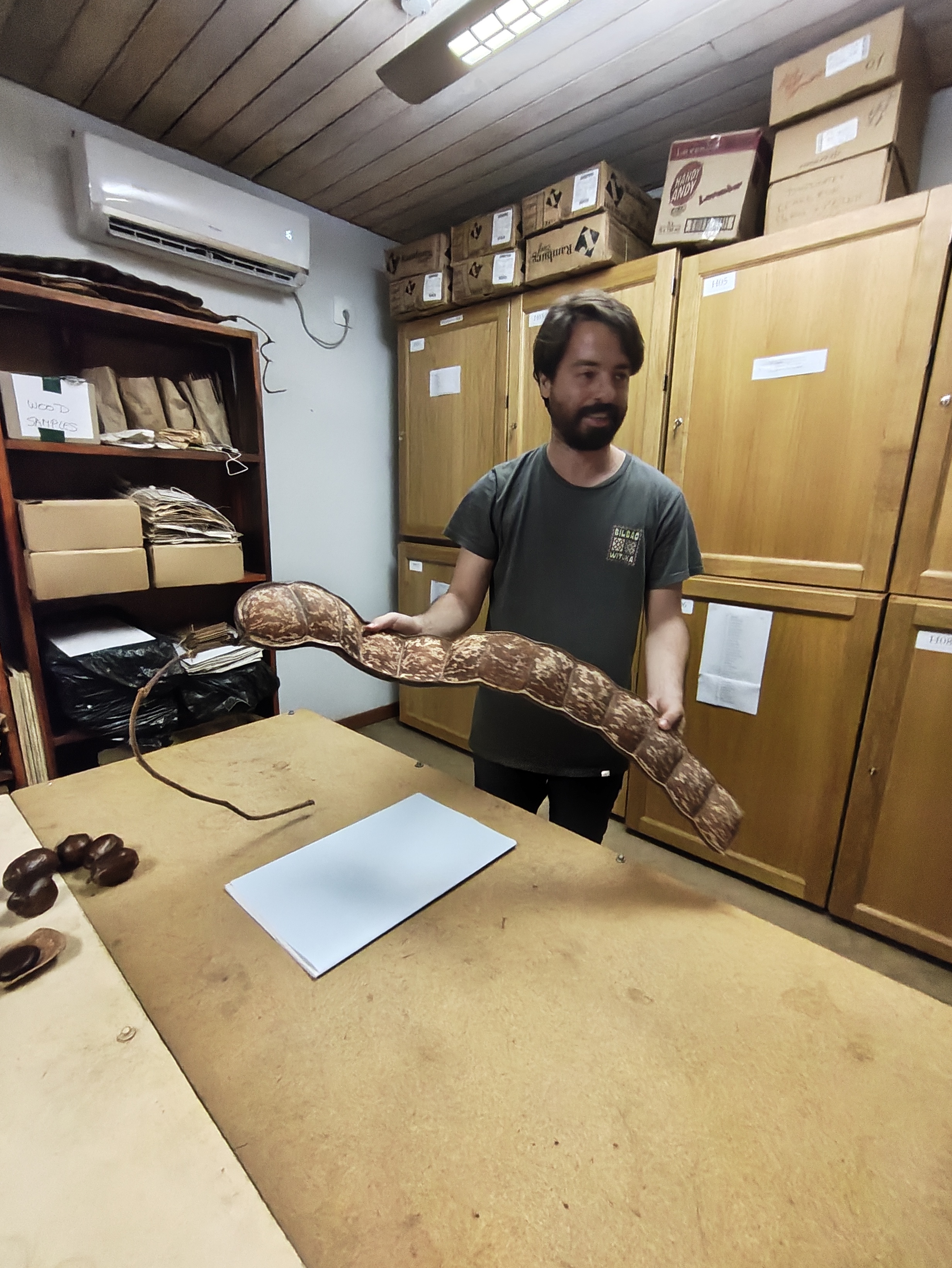 Gorongosa — Greg Carr, João the Paleontologist and the Pangolins