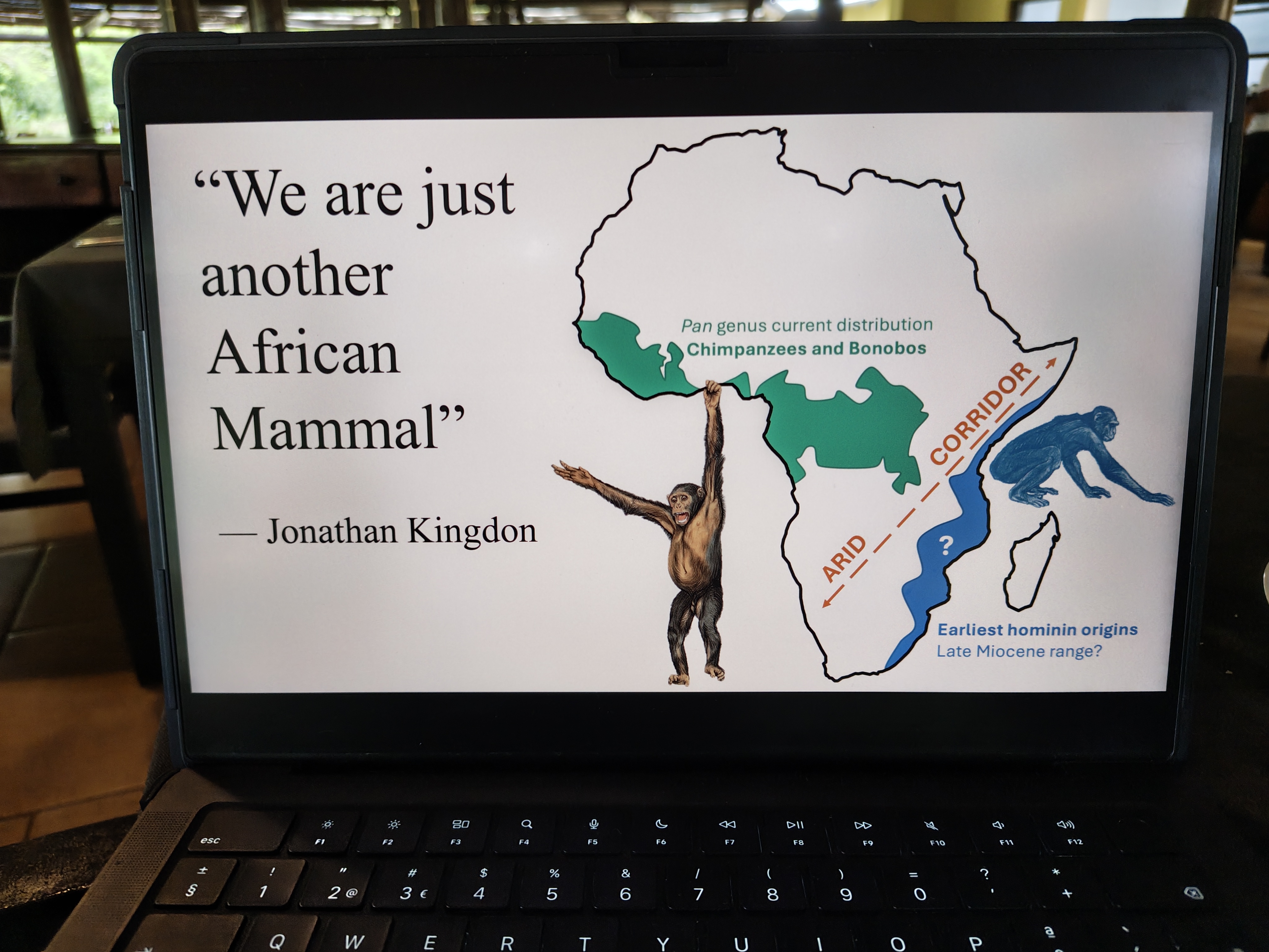 Gorongosa — Greg Carr, João the Paleontologist and the Pangolins