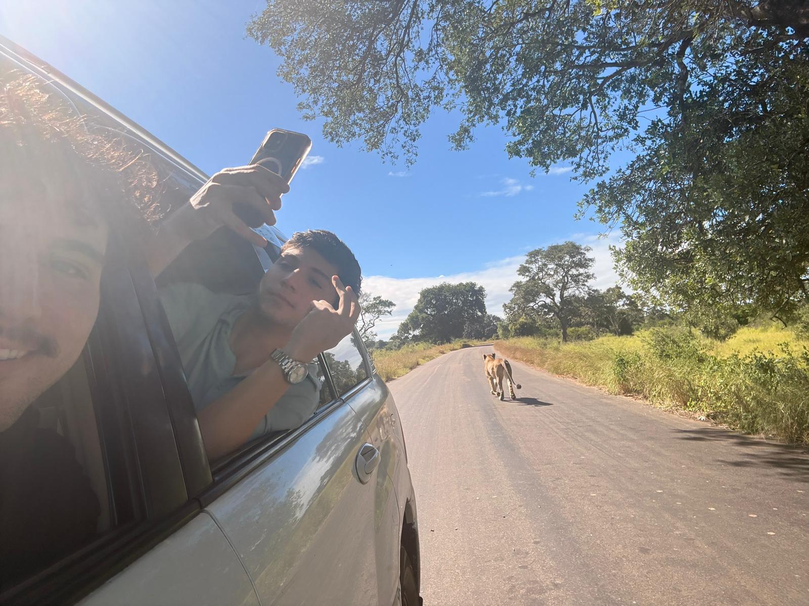 We no longer stopped for lions or impalas.