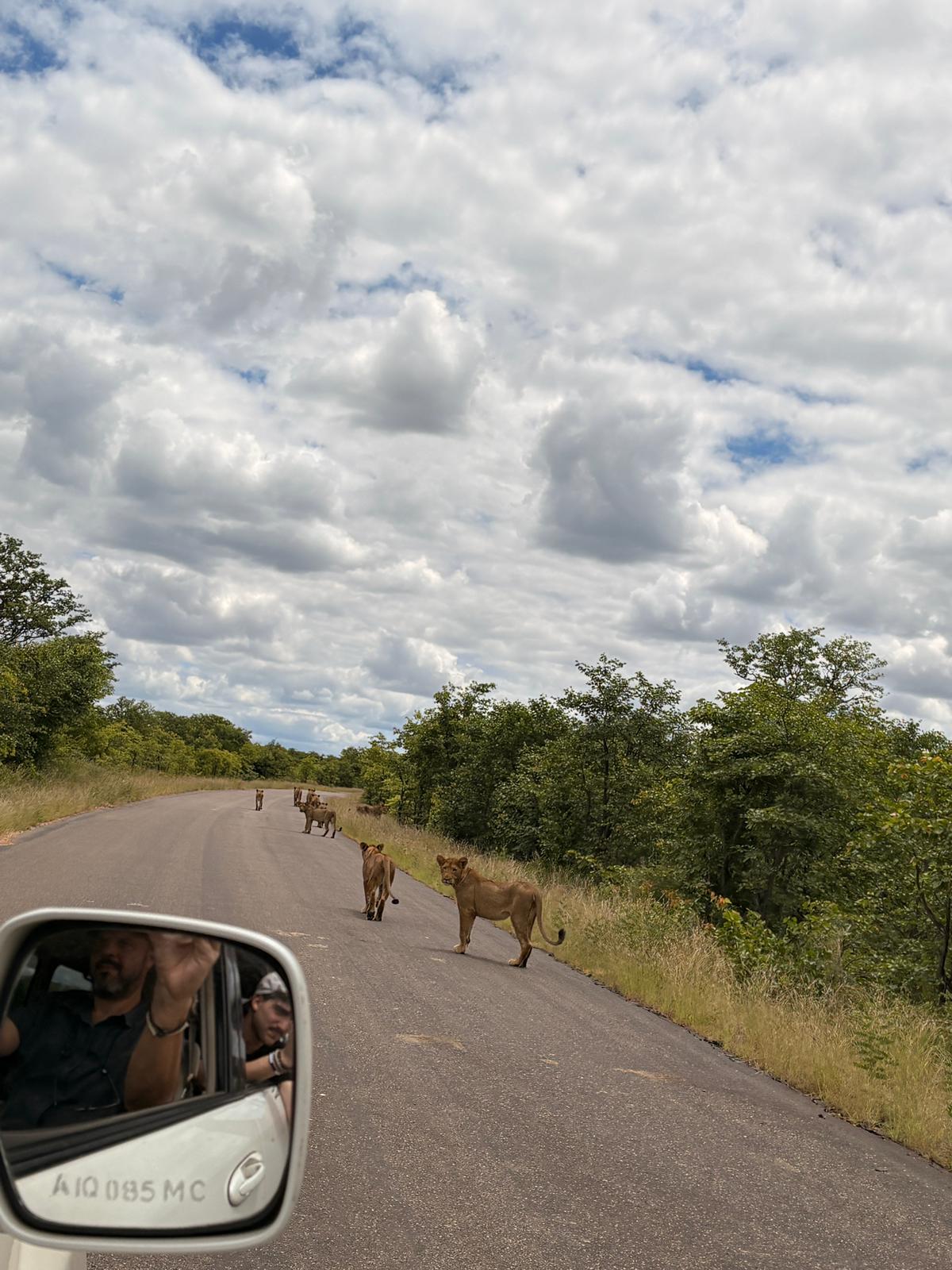 Get out of the way.