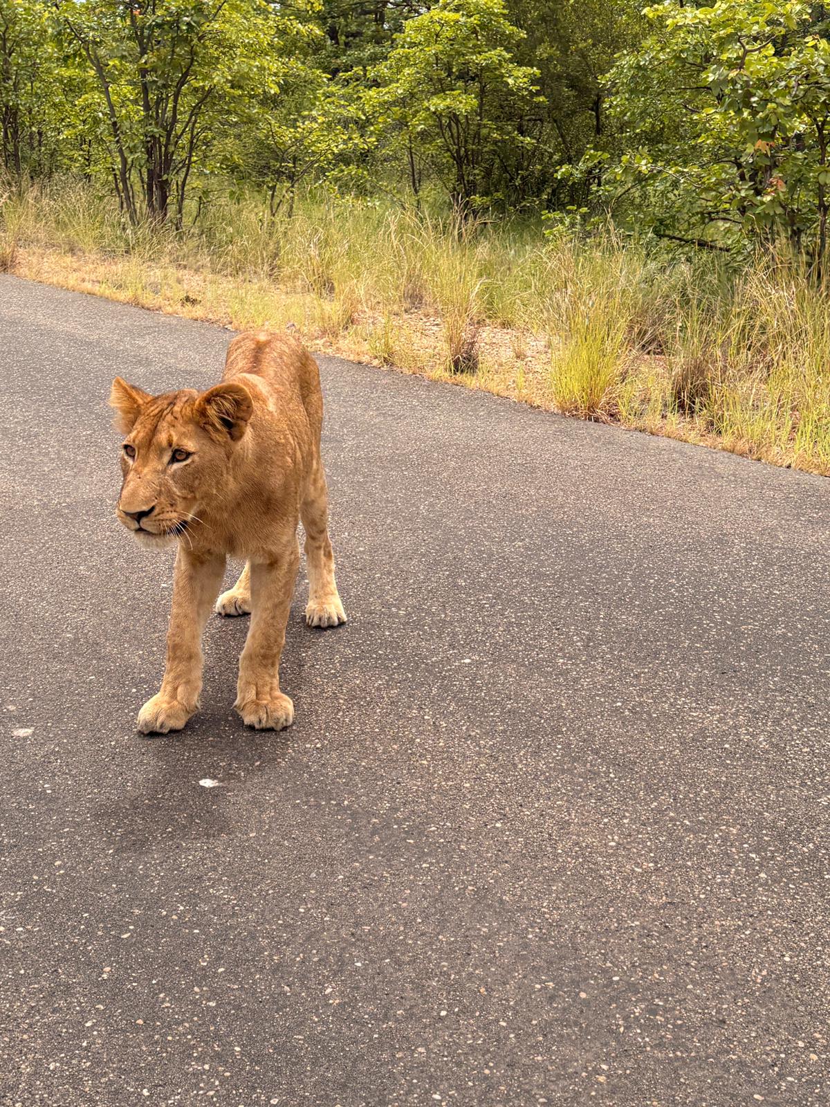 A curious young man