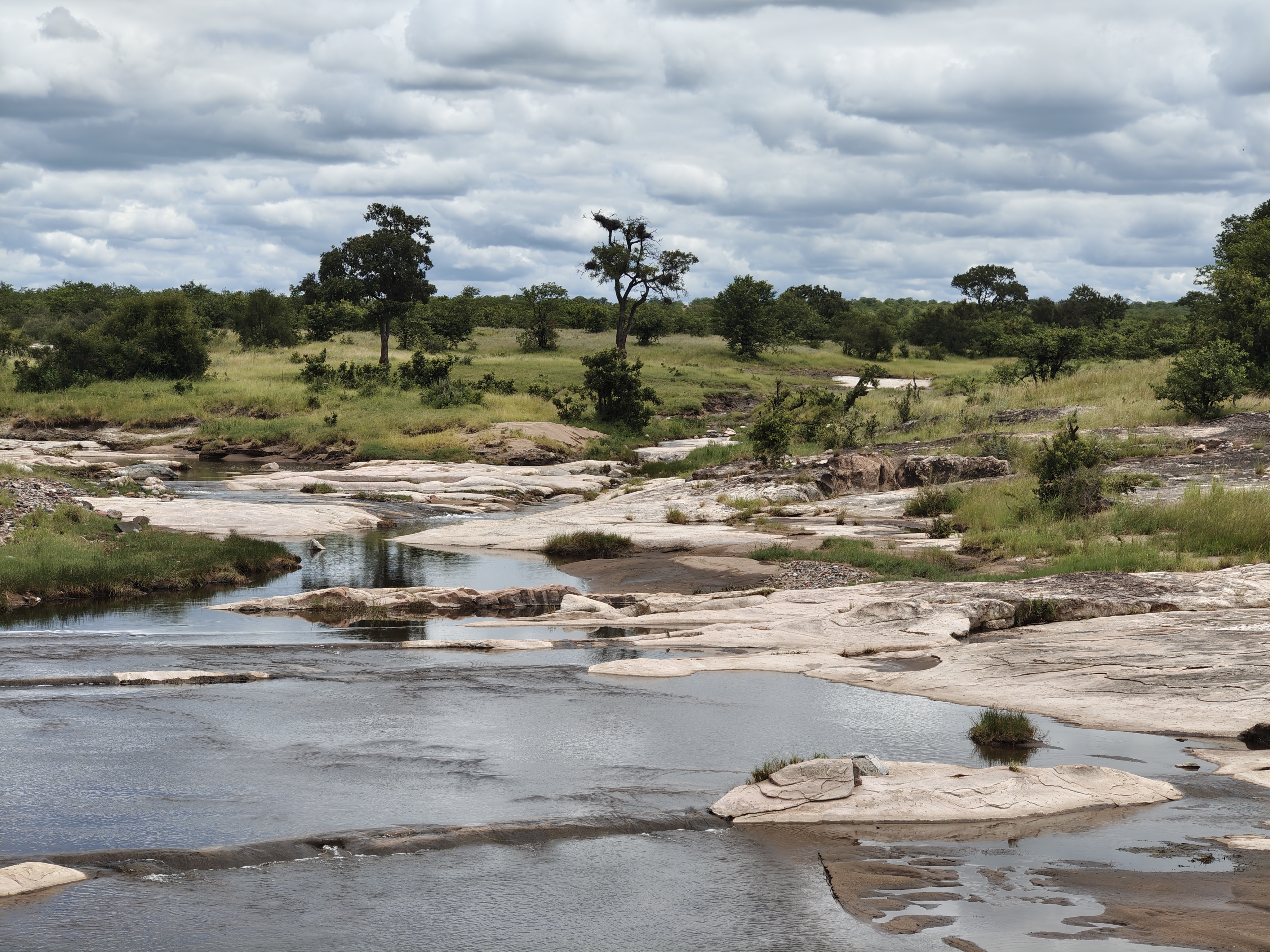 Kruger — The Lions Day