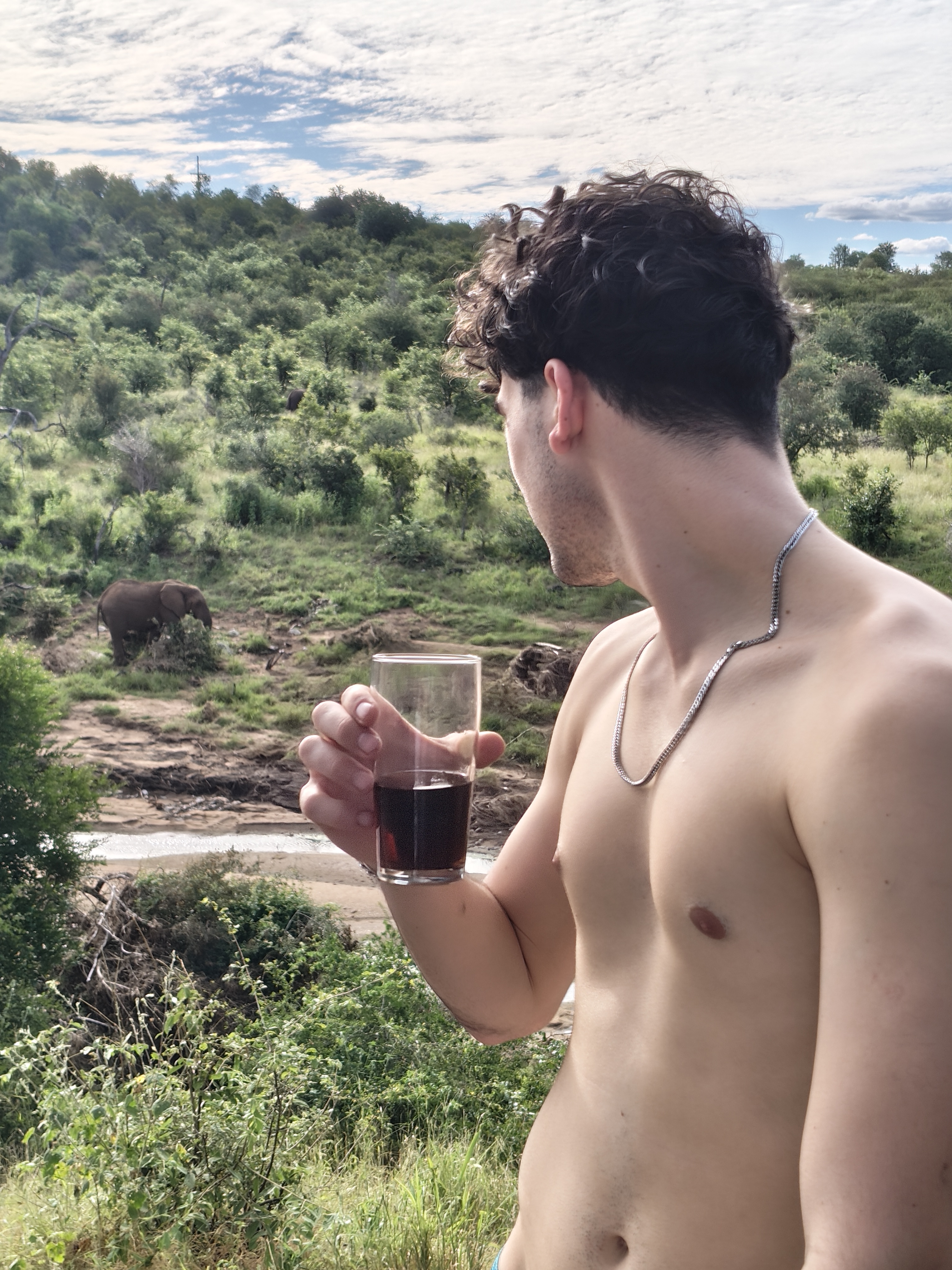 The elephant