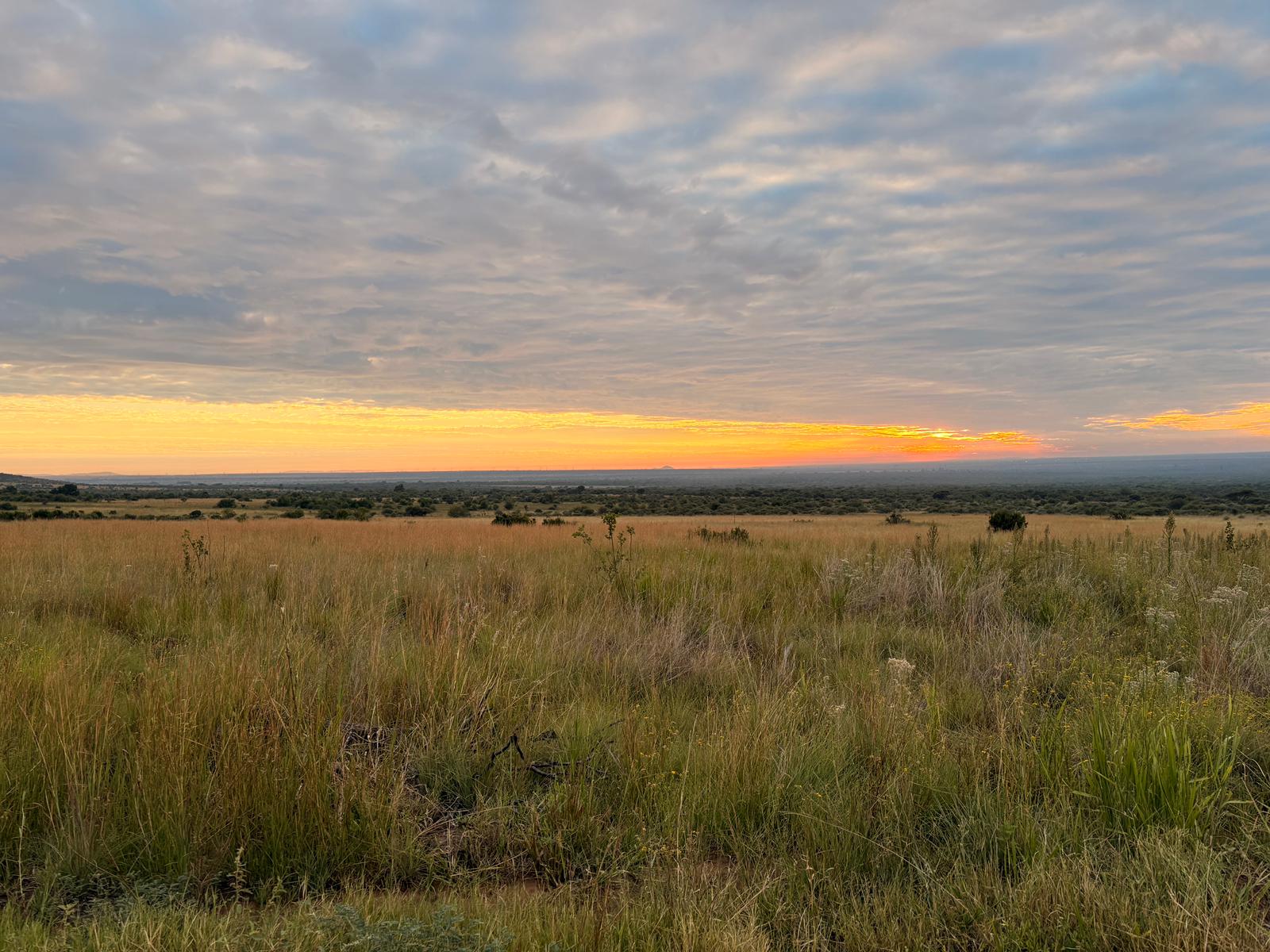 Sunrise over Pilanesberg — worth the 4:45 wake-up