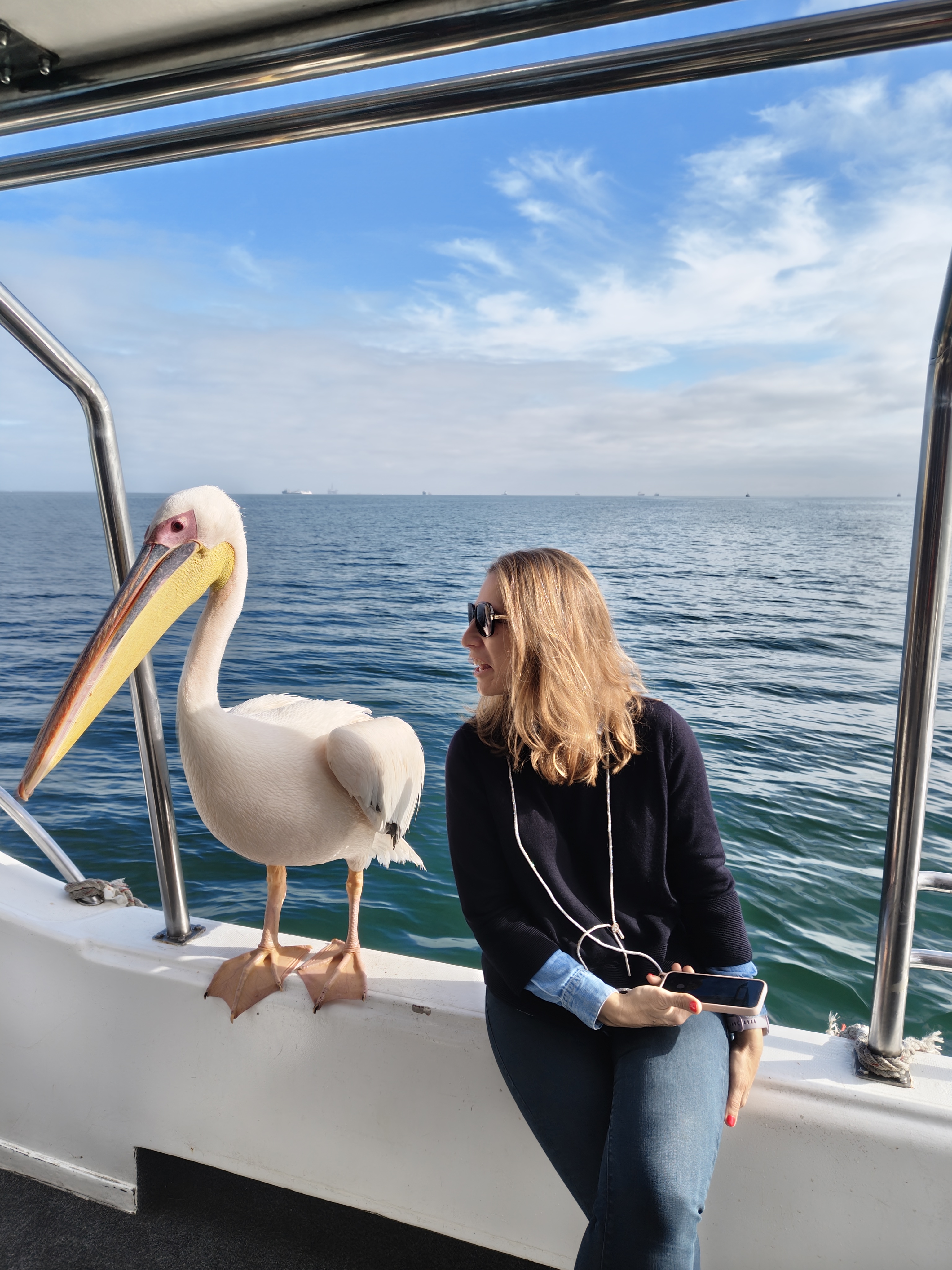 Walvis Bay — The Seal & Pelican Rain