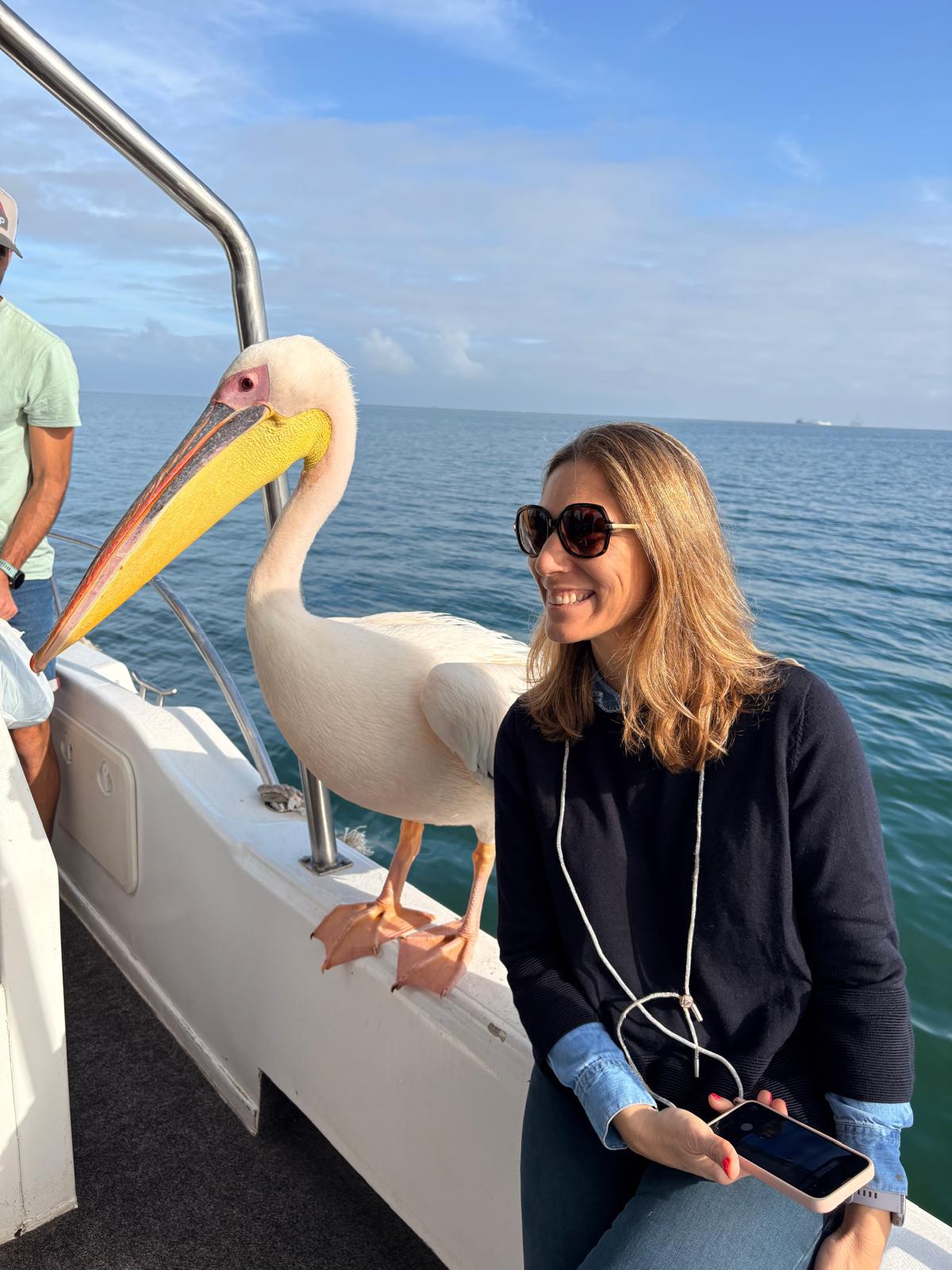 Walvis Bay — The Seal & Pelican Rain