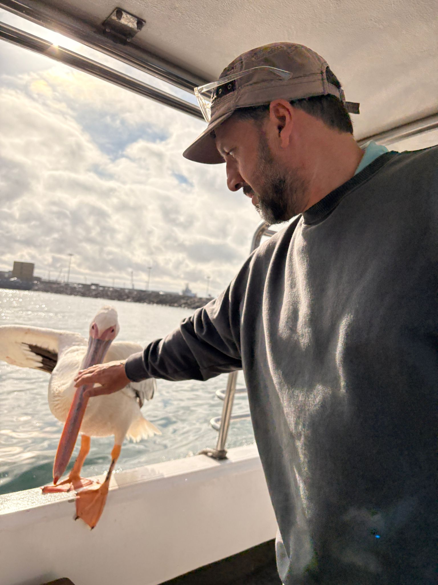 Walvis Bay — The Seal & Pelican Rain
