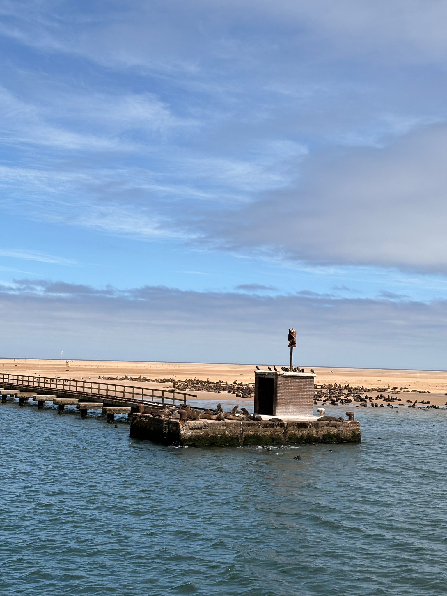 Walvis Bay — The Seal & Pelican Rain