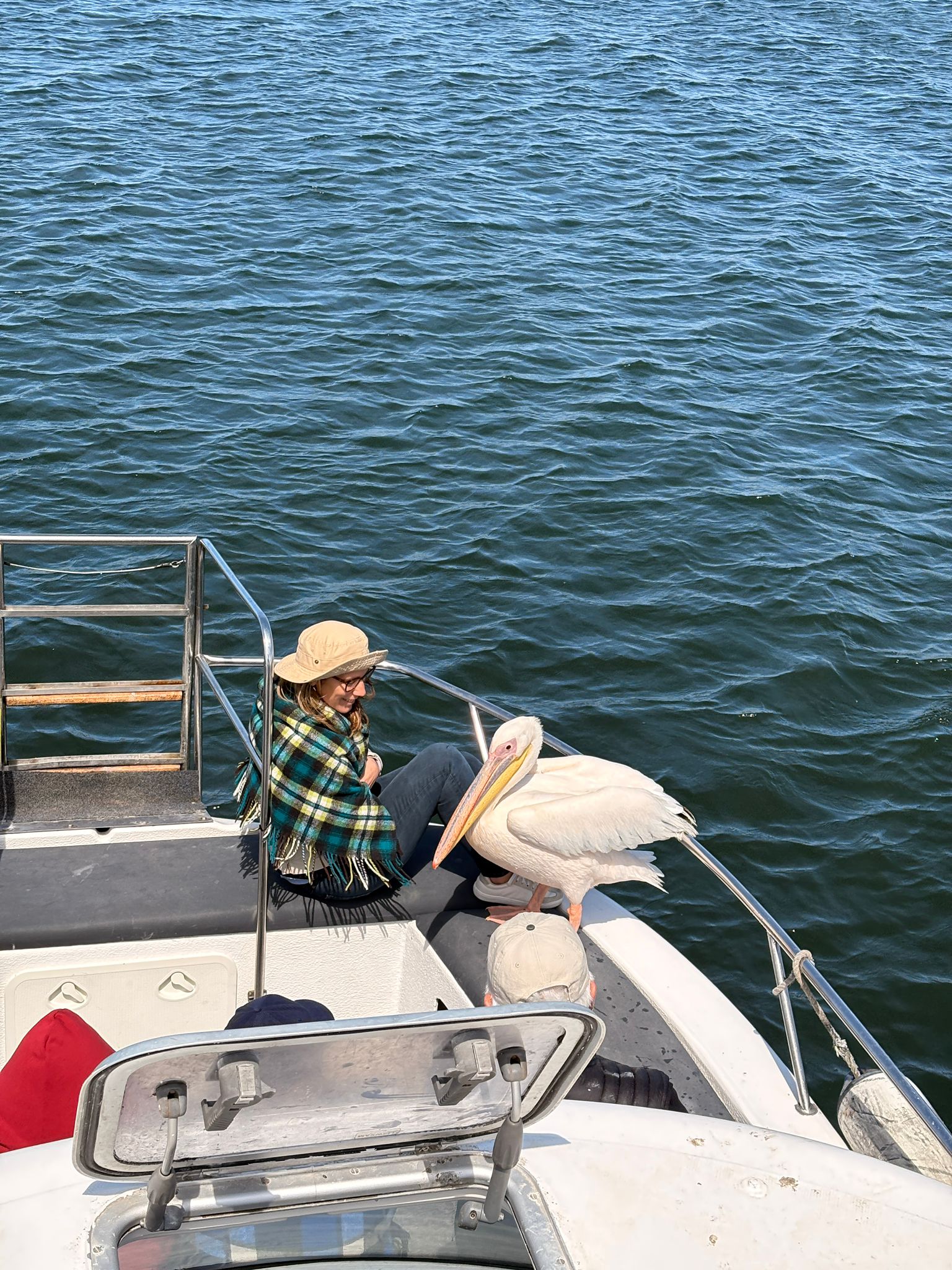 Walvis Bay — The Seal & Pelican Rain