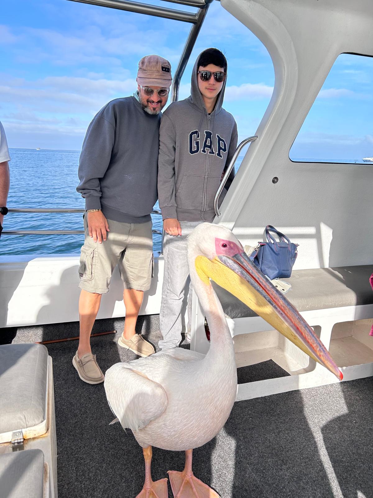Walvis Bay — The Seal & Pelican Rain