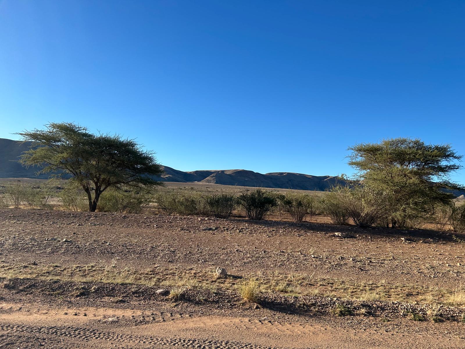 Windhoek → Sossusvlei — End of the First Leg