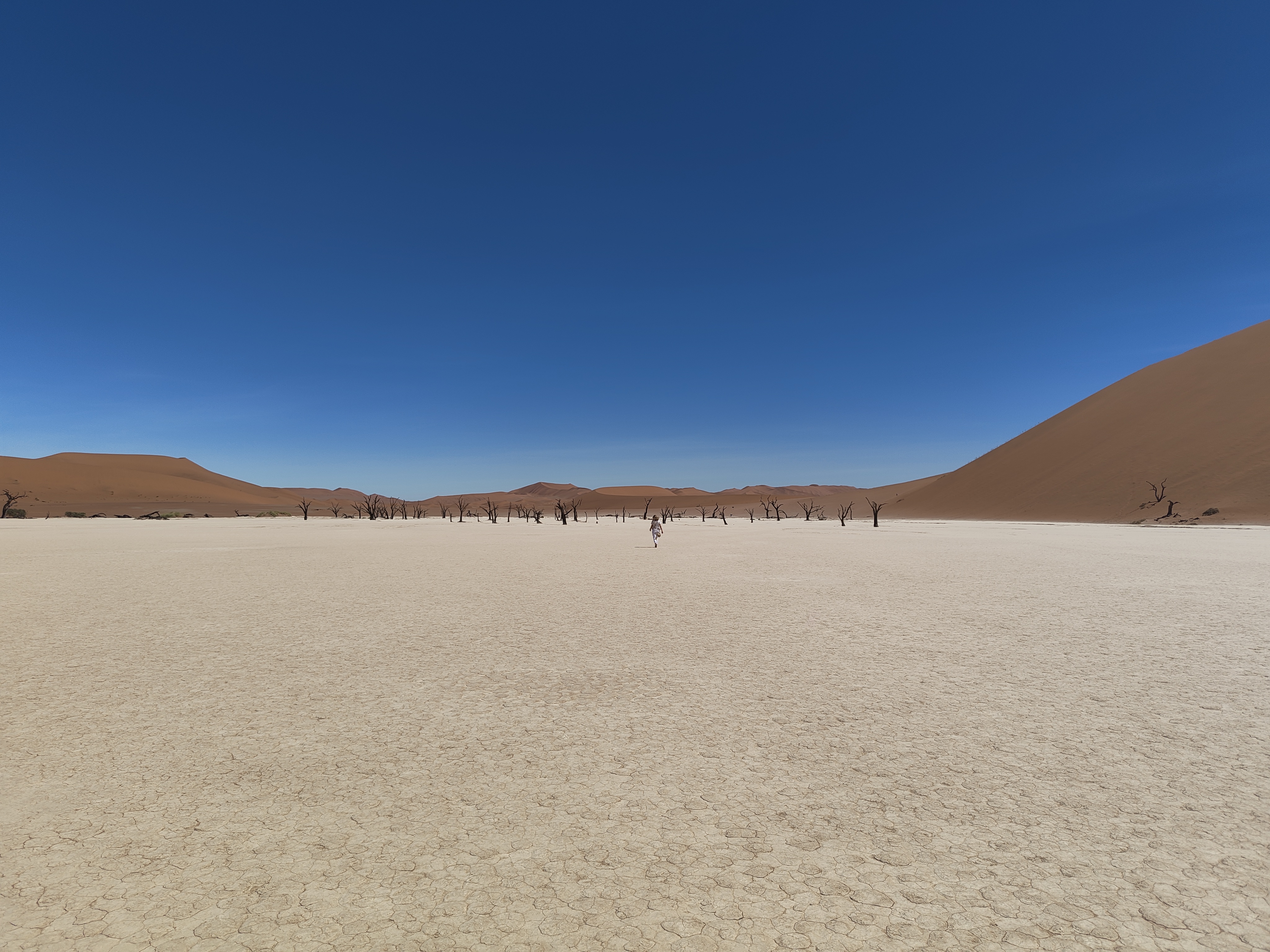 Sossusvlei — Dune 45 and Big Daddy