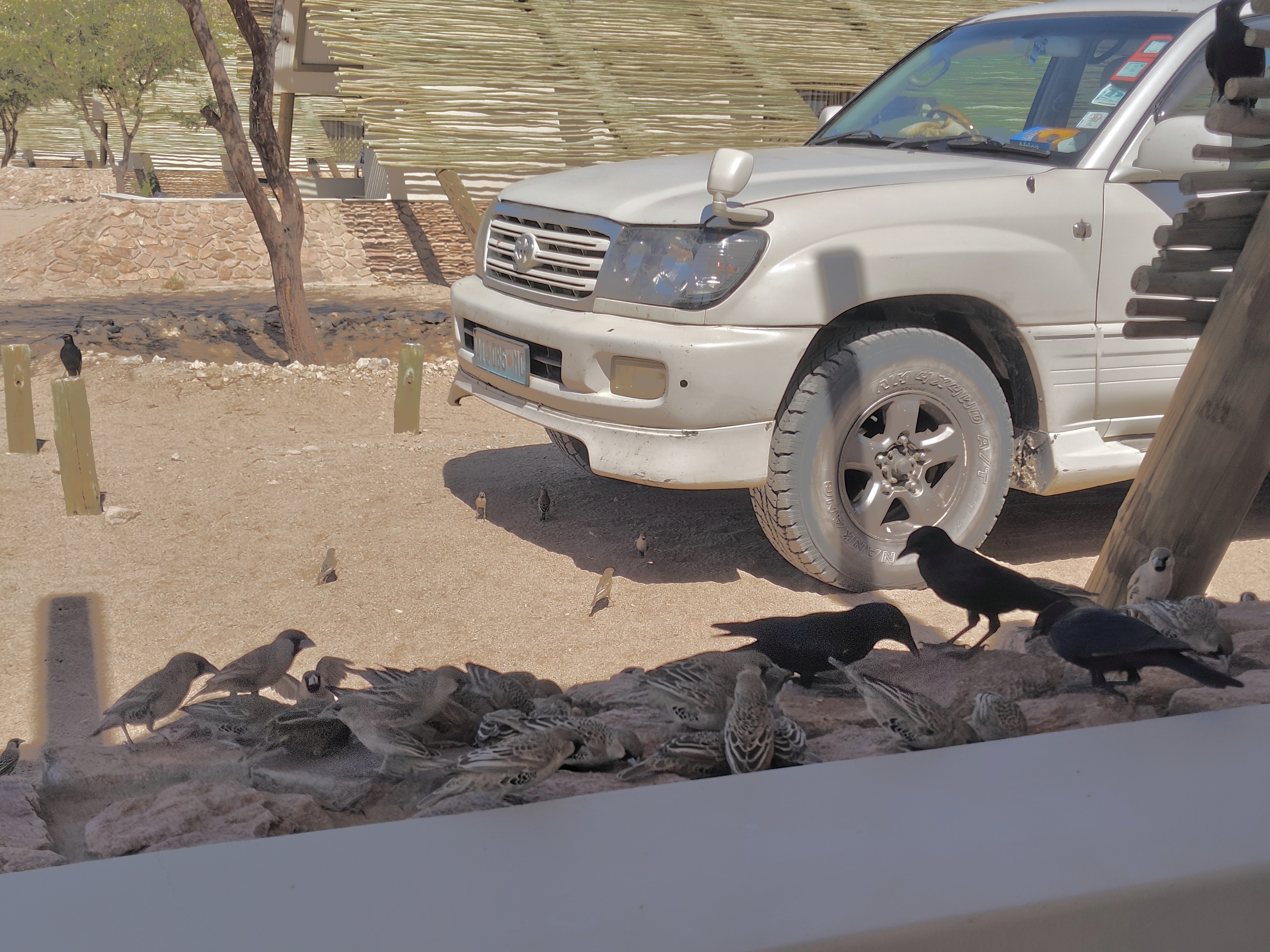 Sossusvlei — Dune 45 and Big Daddy