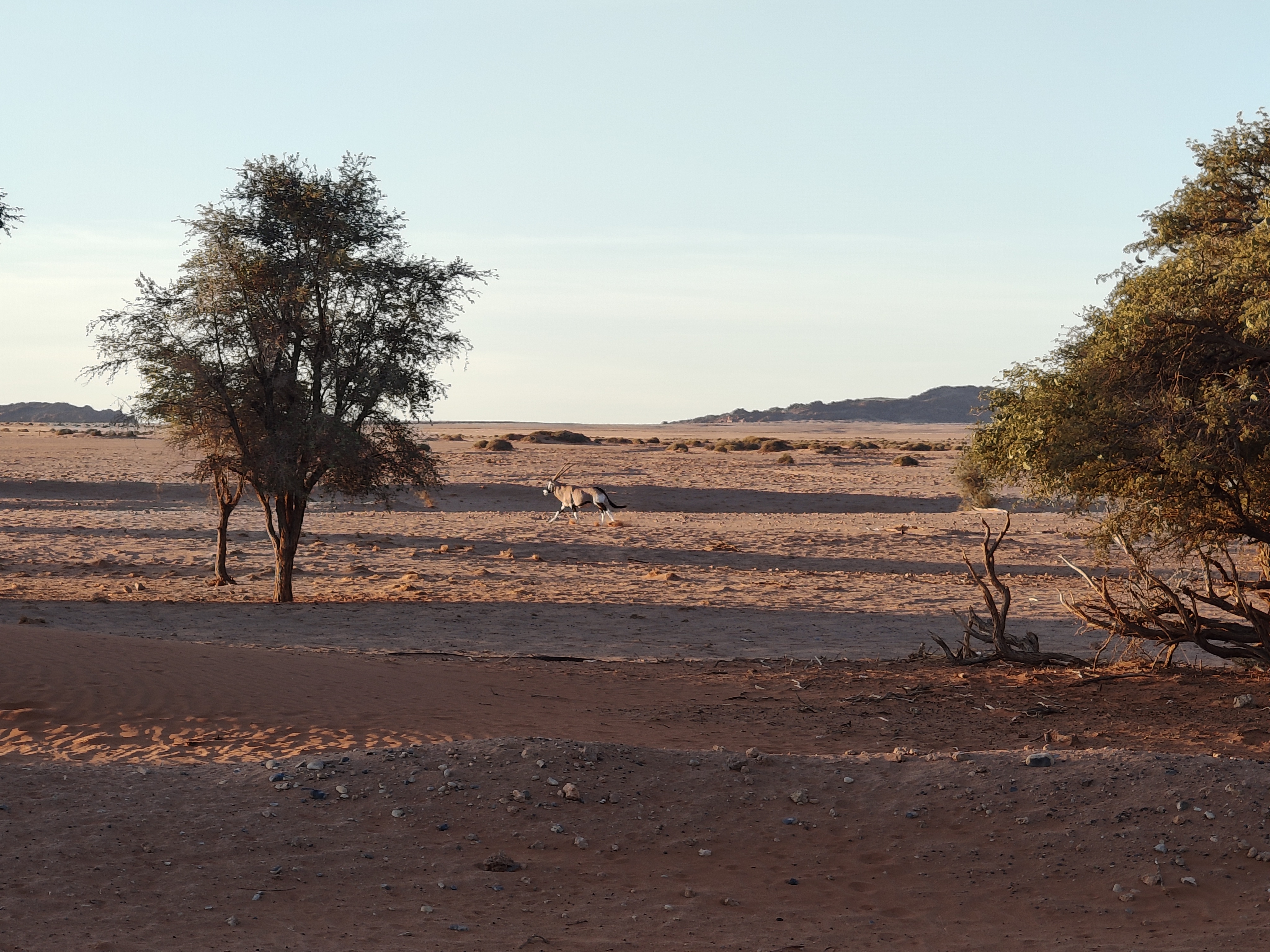Sossusvlei — Dune 45 and Big Daddy