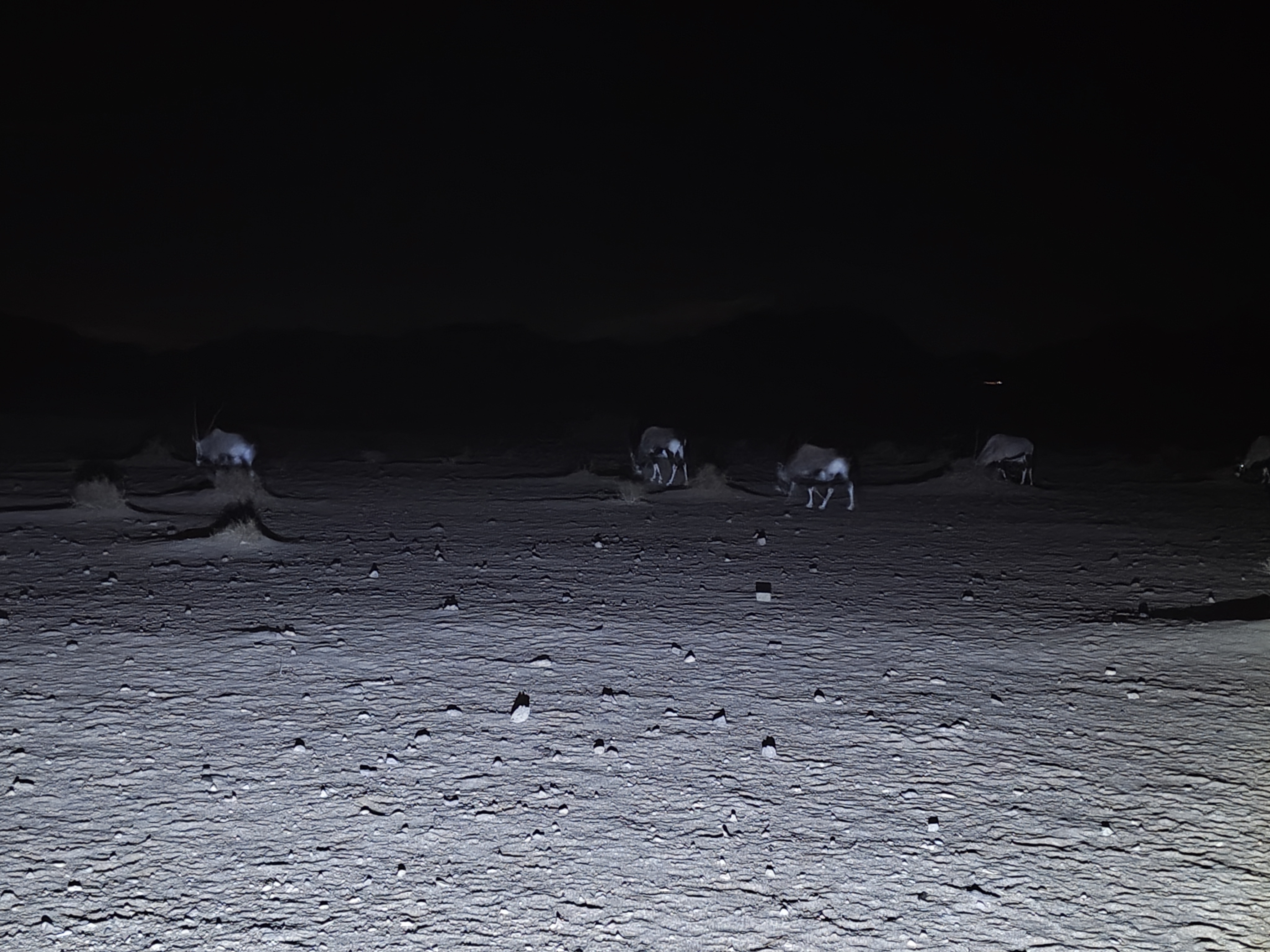 Sossusvlei — Dune 45 and Big Daddy